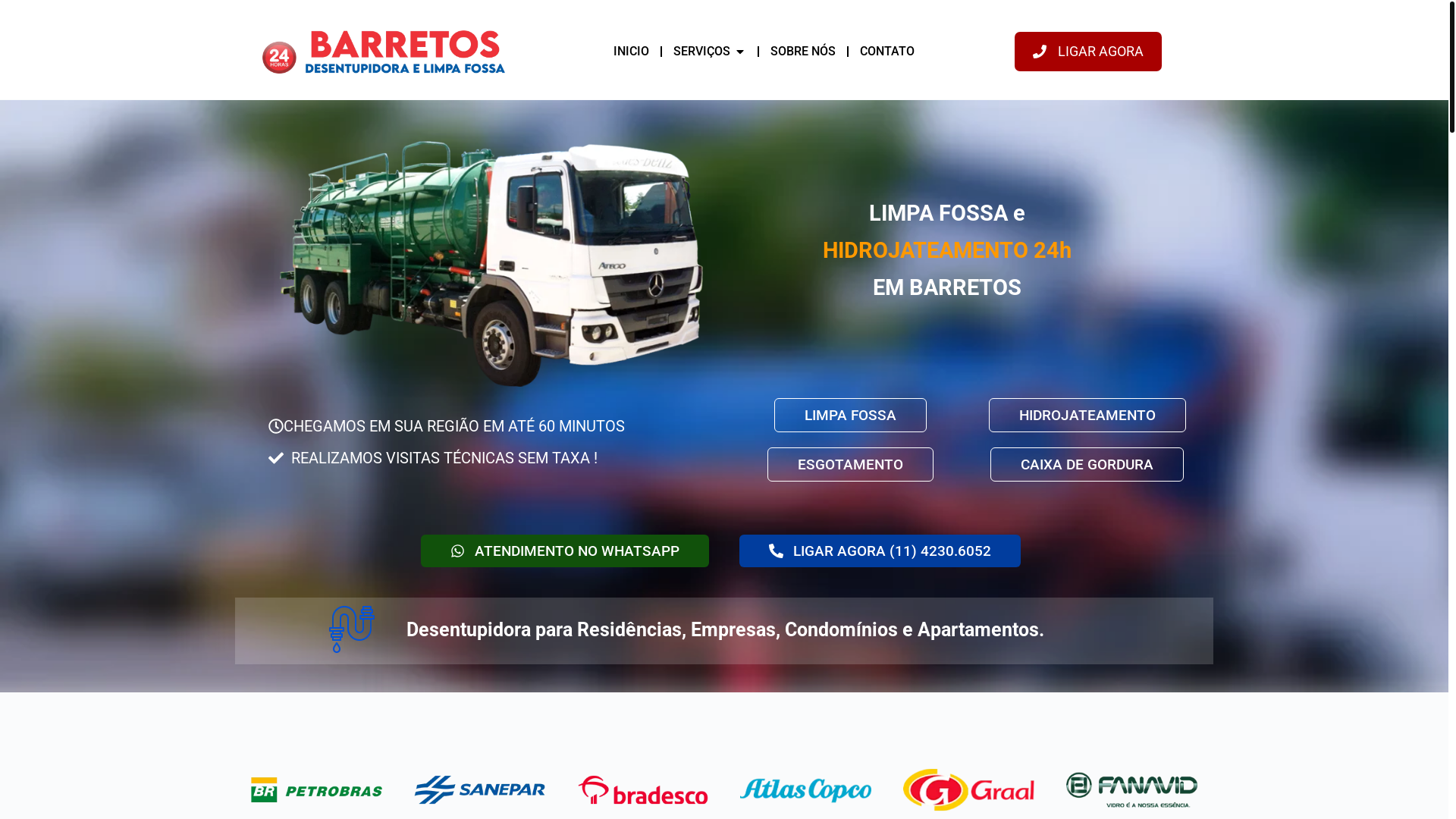 website screenshot of https://ilhacompridadesentupidora.com.br/