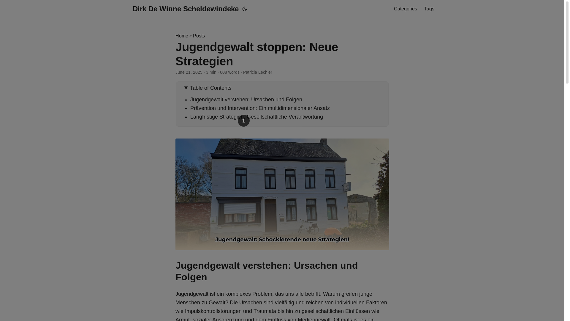 website screenshot of https://dirk-de-winne-scheldewindeke.pages.dev/