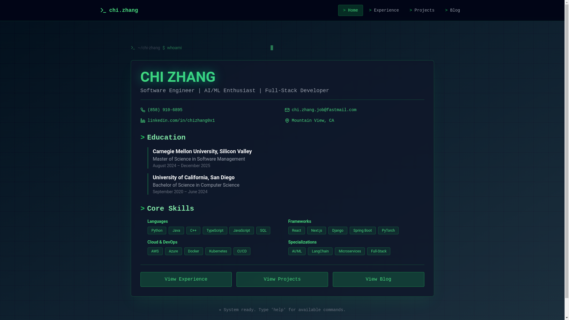 website screenshot of https://chizhang.dev/