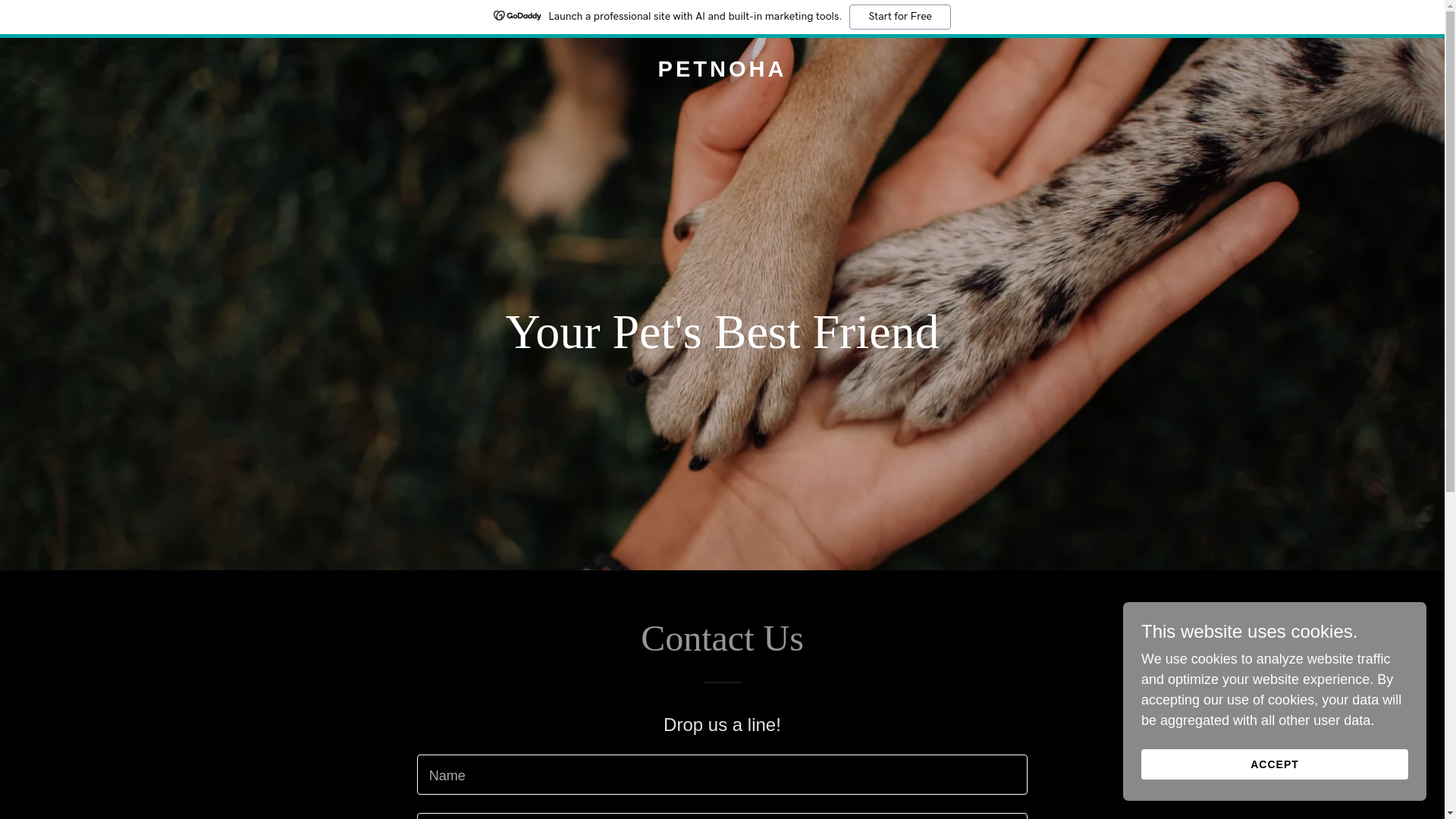 website screenshot of https://petnoha.com/
