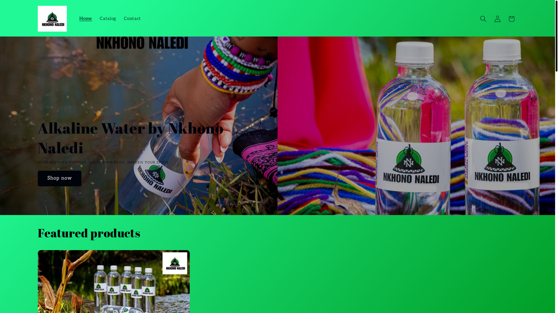 website screenshot of https://nkhononalediwater.com/