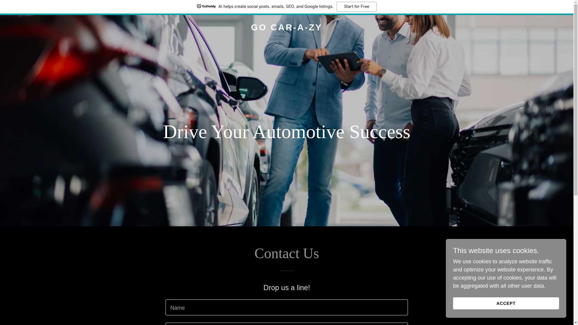 website screenshot of https://gocarazy.com/
