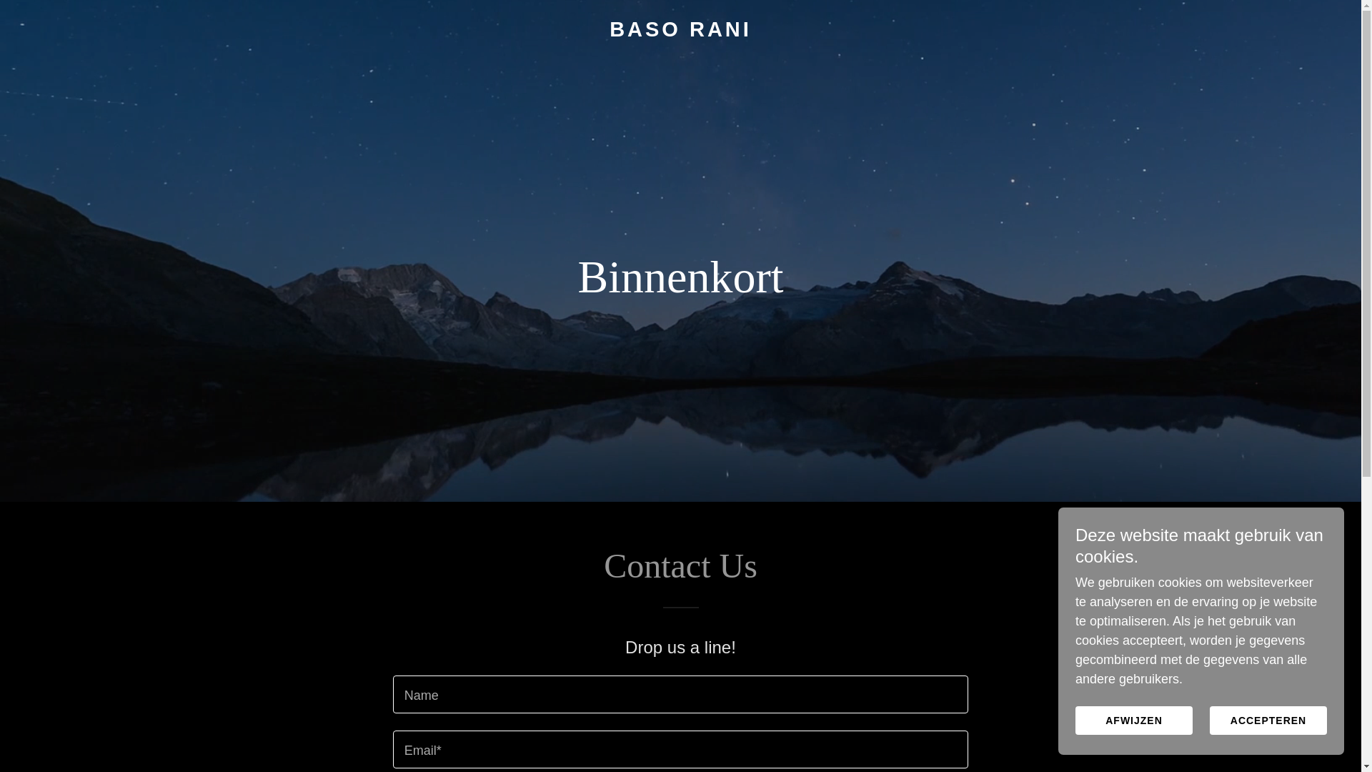 website screenshot of https://basorani.com/