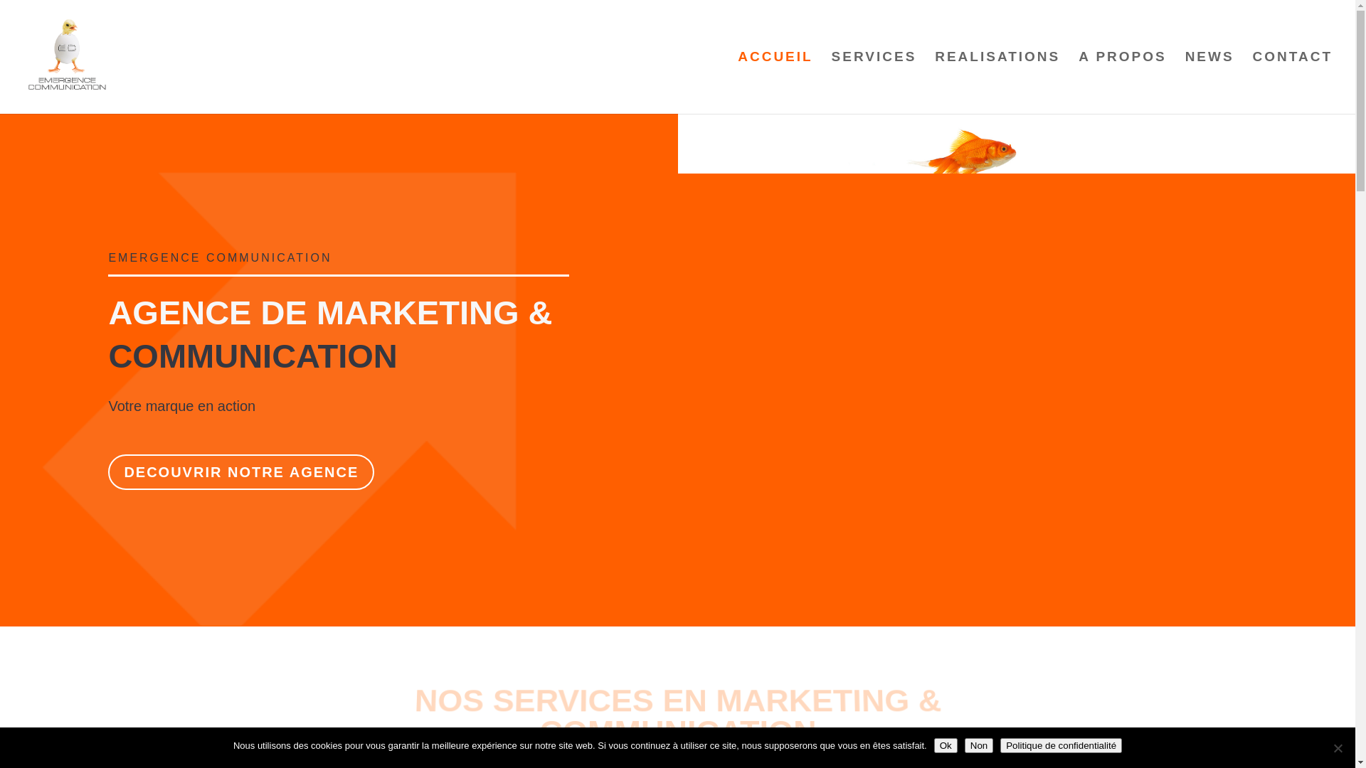 website screenshot of https://emergencecommunication.bz/