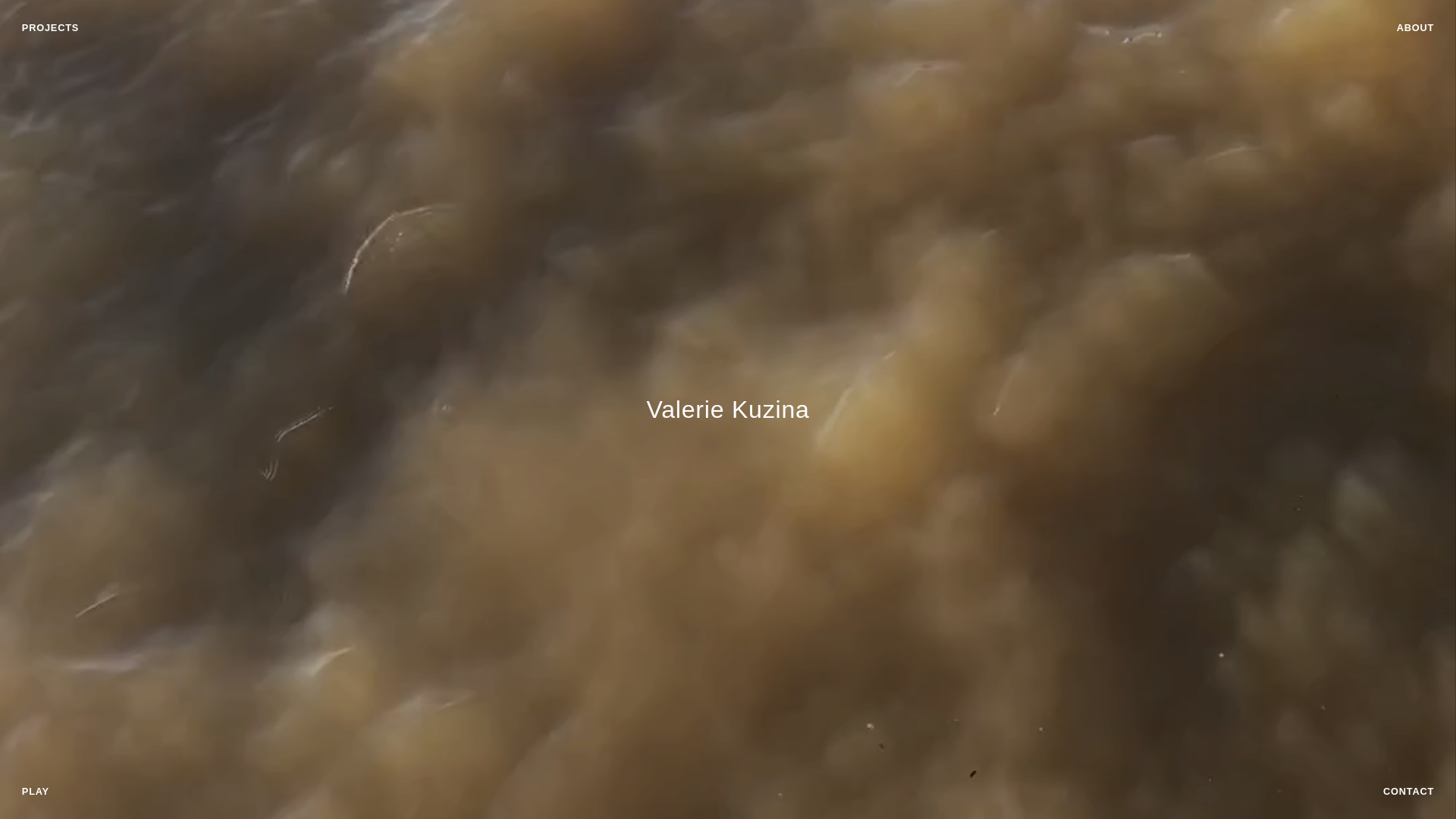 website screenshot of https://valeriekuzina.com/