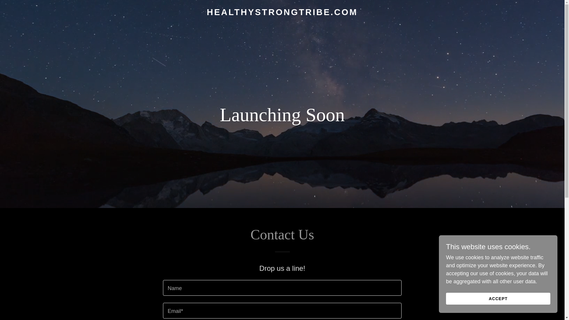 website screenshot of https://healthystrongtribe.com/