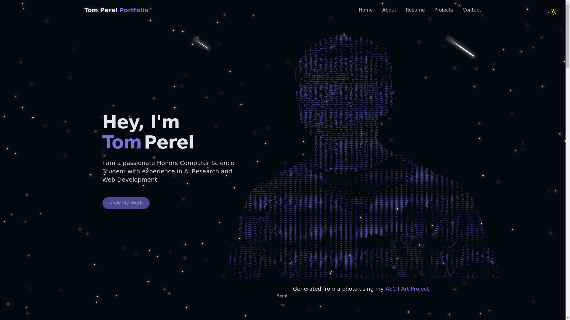 website screenshot of https://tomperel.com/