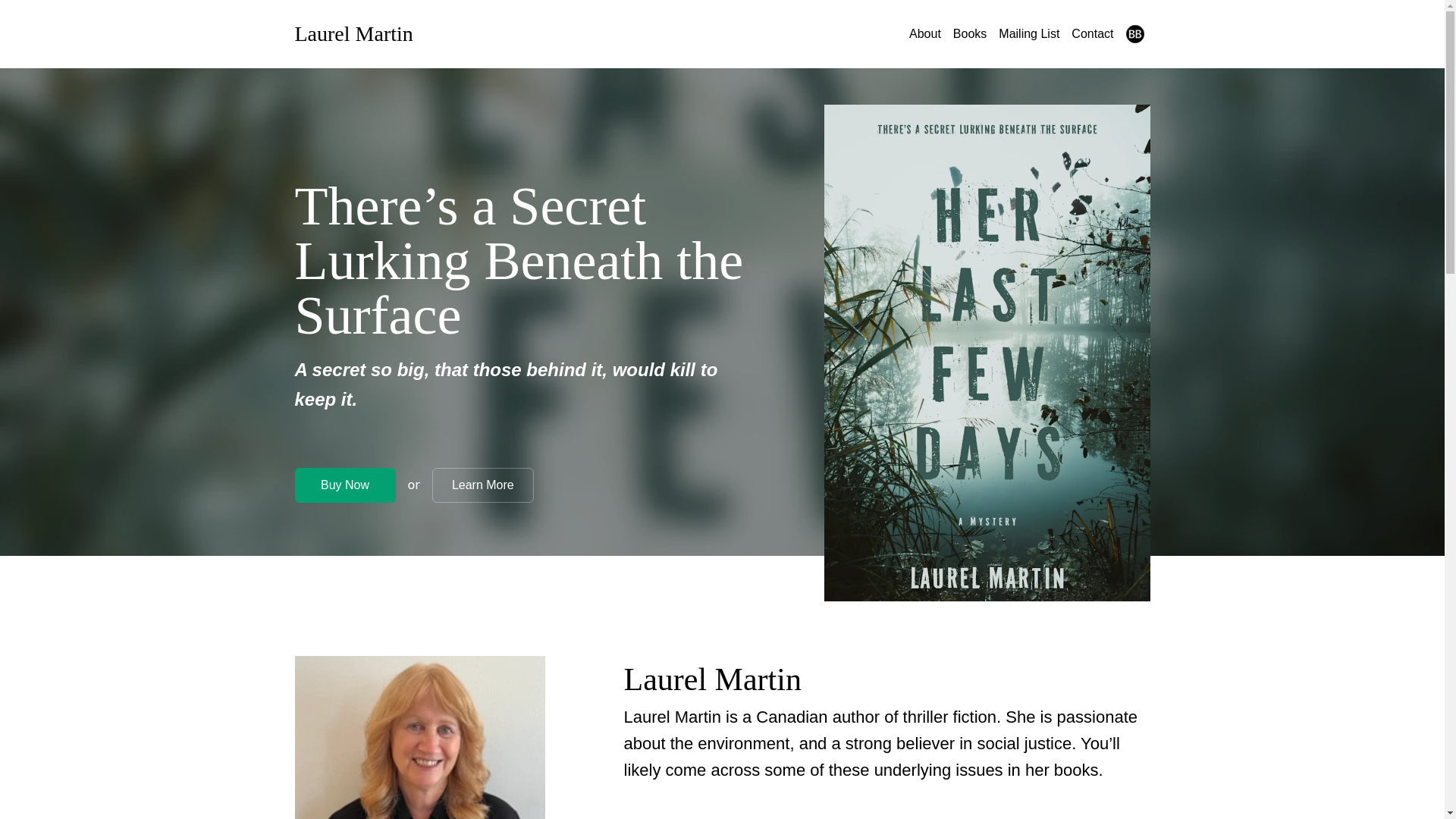 website screenshot of https://laurelmartinbooks.com/