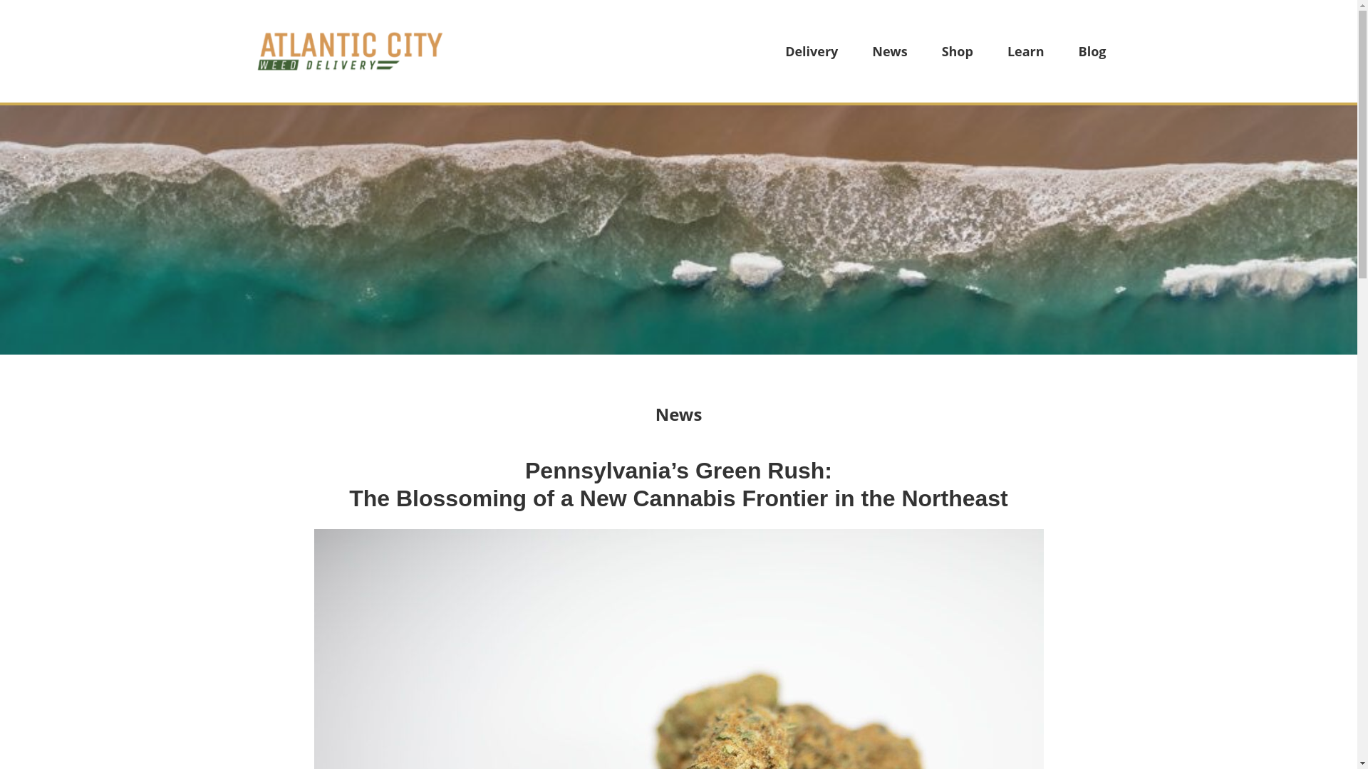 website screenshot of https://atlanticcityweeddelivery-com.pages.dev/