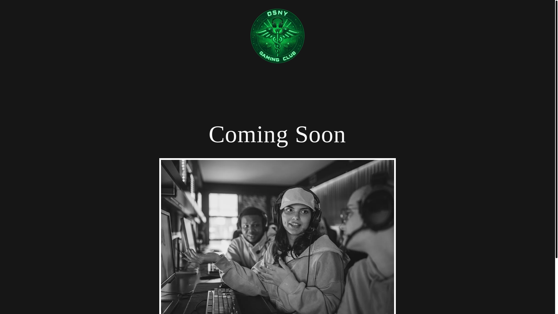 website screenshot of https://dsnygamingclub.com/