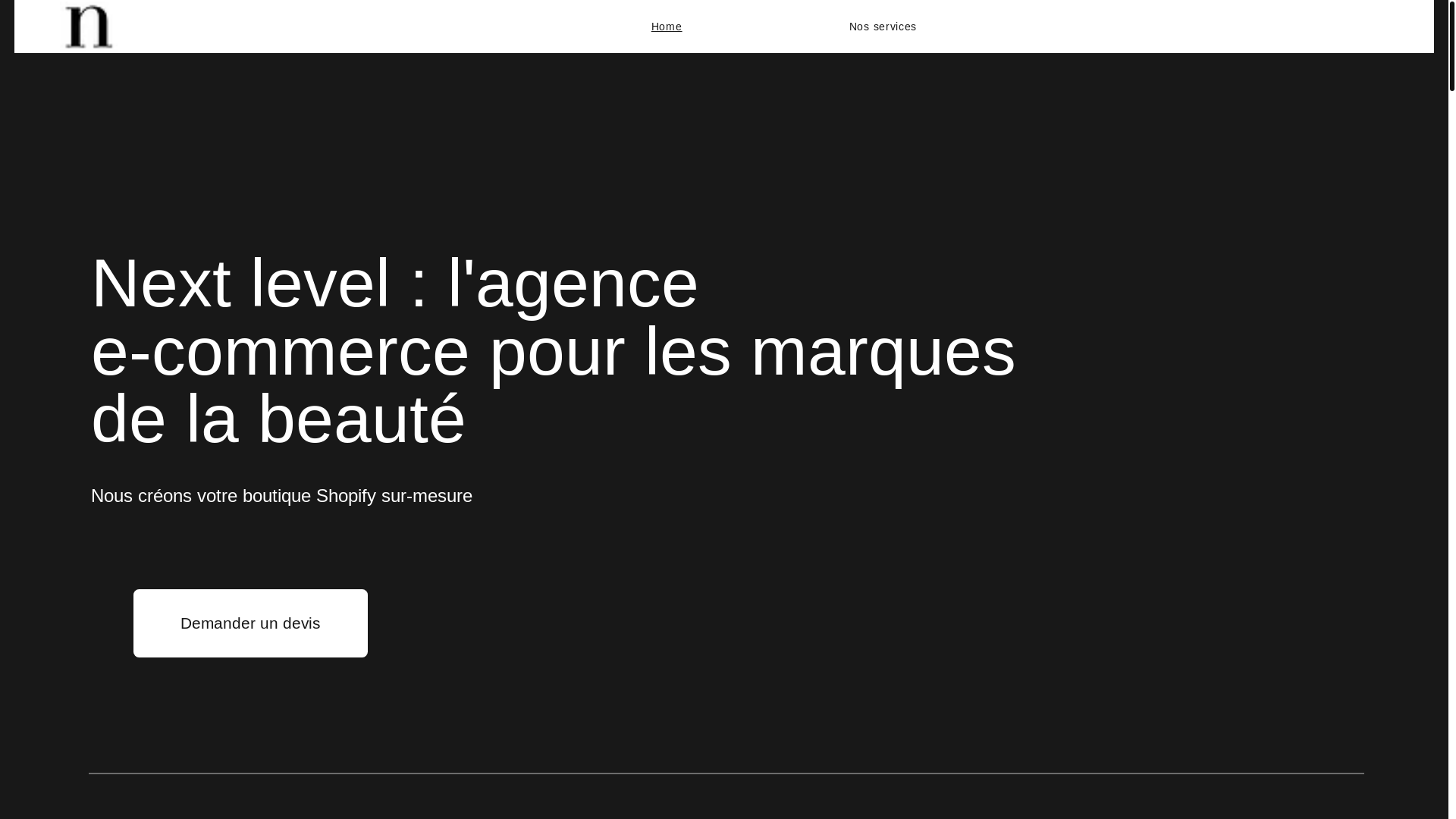 website screenshot of https://nextlevelweb-agency.com/