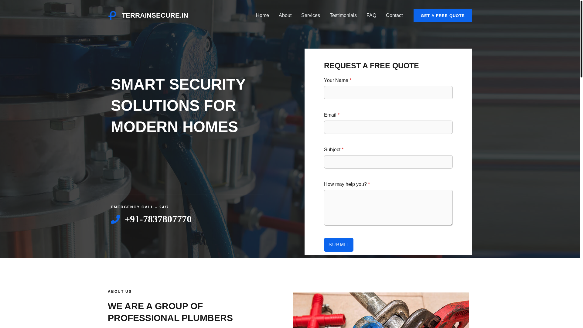 website screenshot of https://terrainsecure.in/