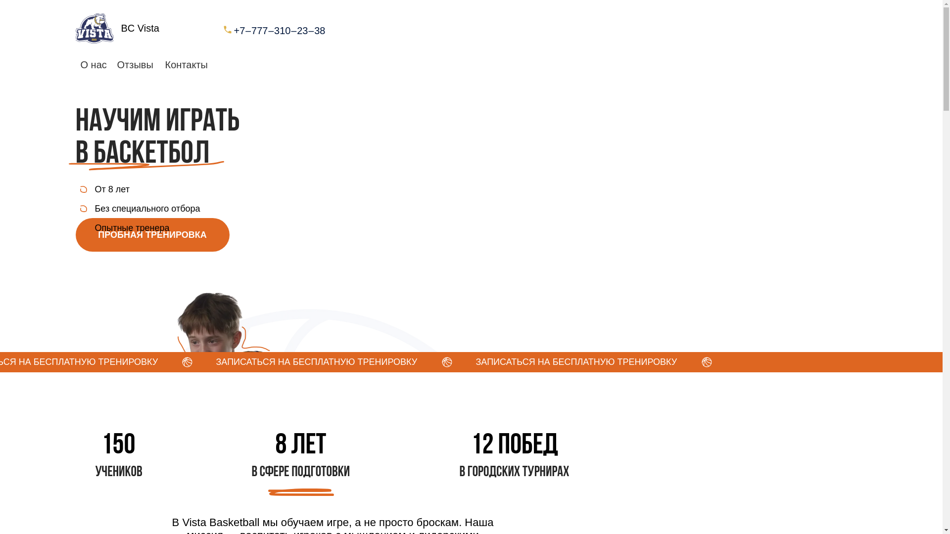 website screenshot of https://vistabasket.kz/