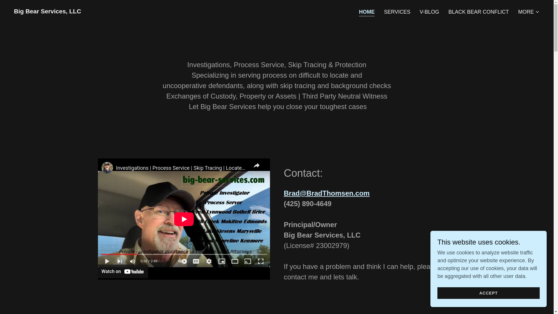 website screenshot of https://big-bear-services.net/