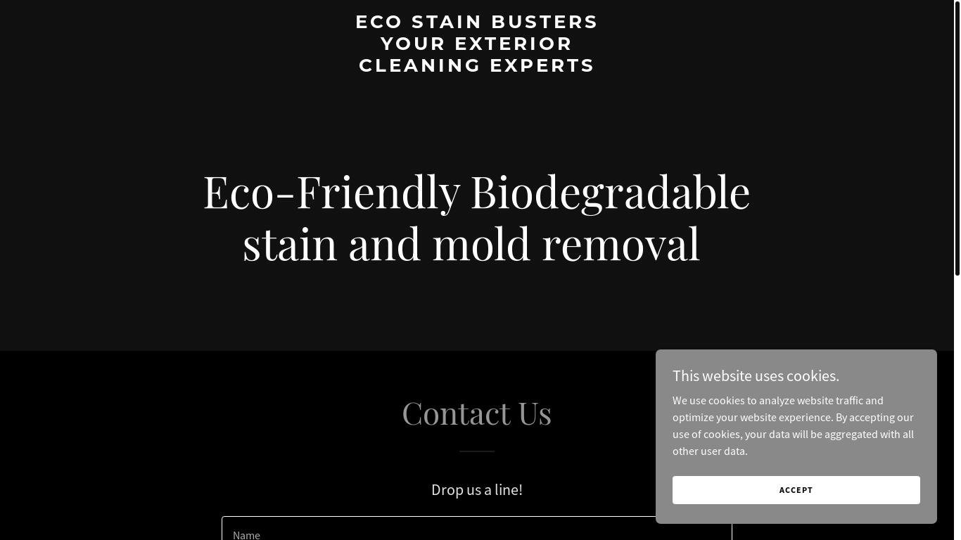 website screenshot of https://ecostainbusters.com/