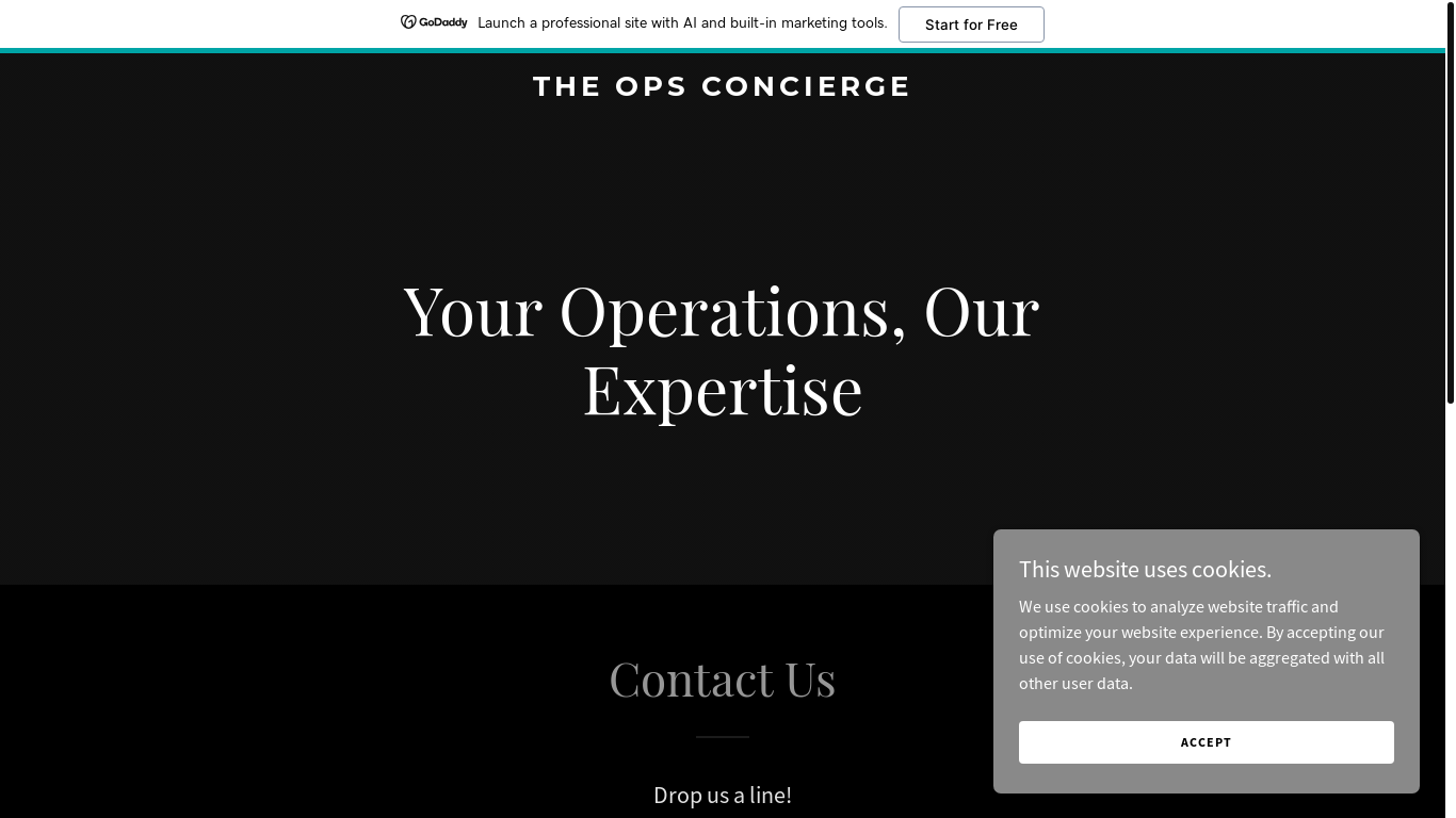 website screenshot of https://theopsconcierge.com/