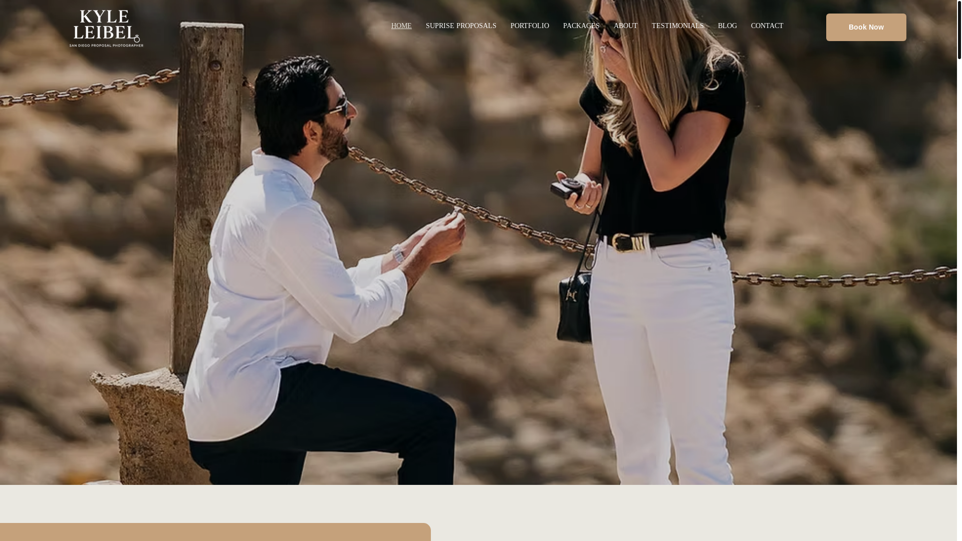 website screenshot of https://kyleleibelphoto.com/