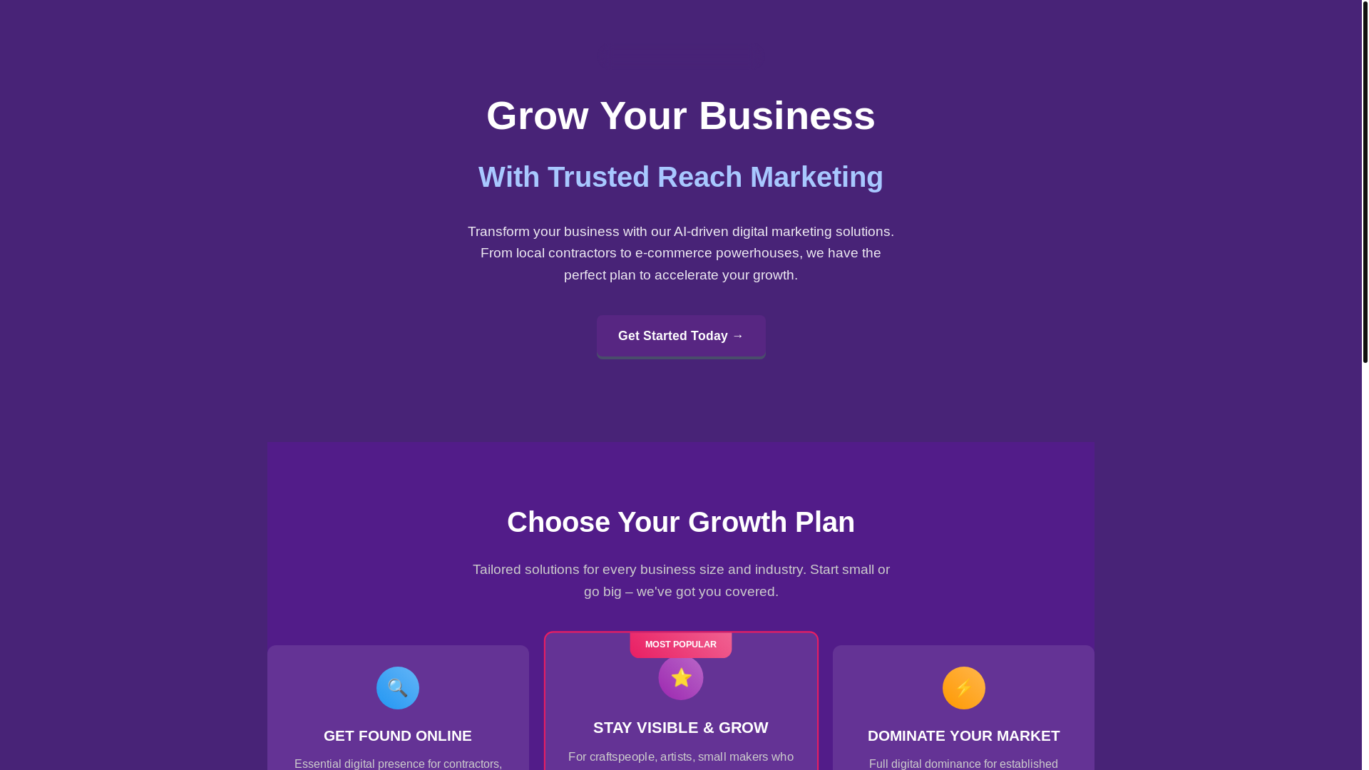 website screenshot of https://trustedreachmarketing.com/