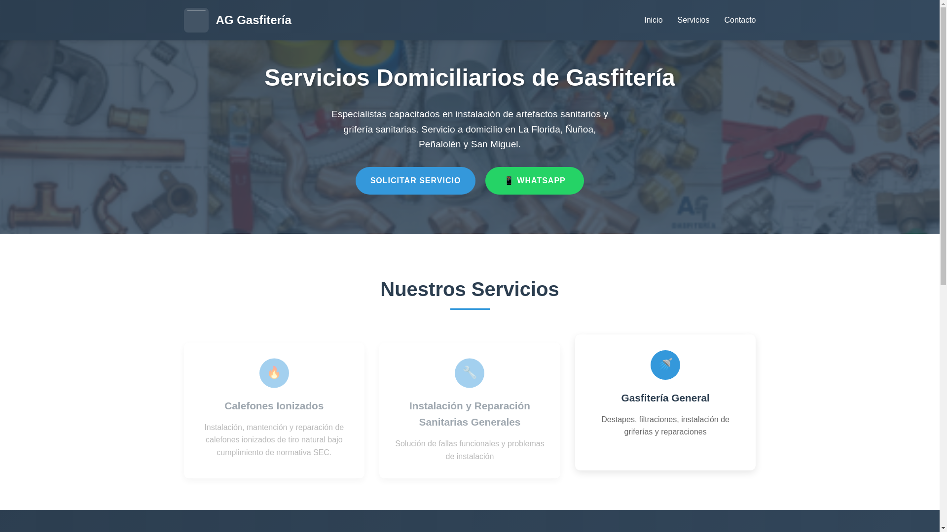 website screenshot of https://aggasfiter.cl/