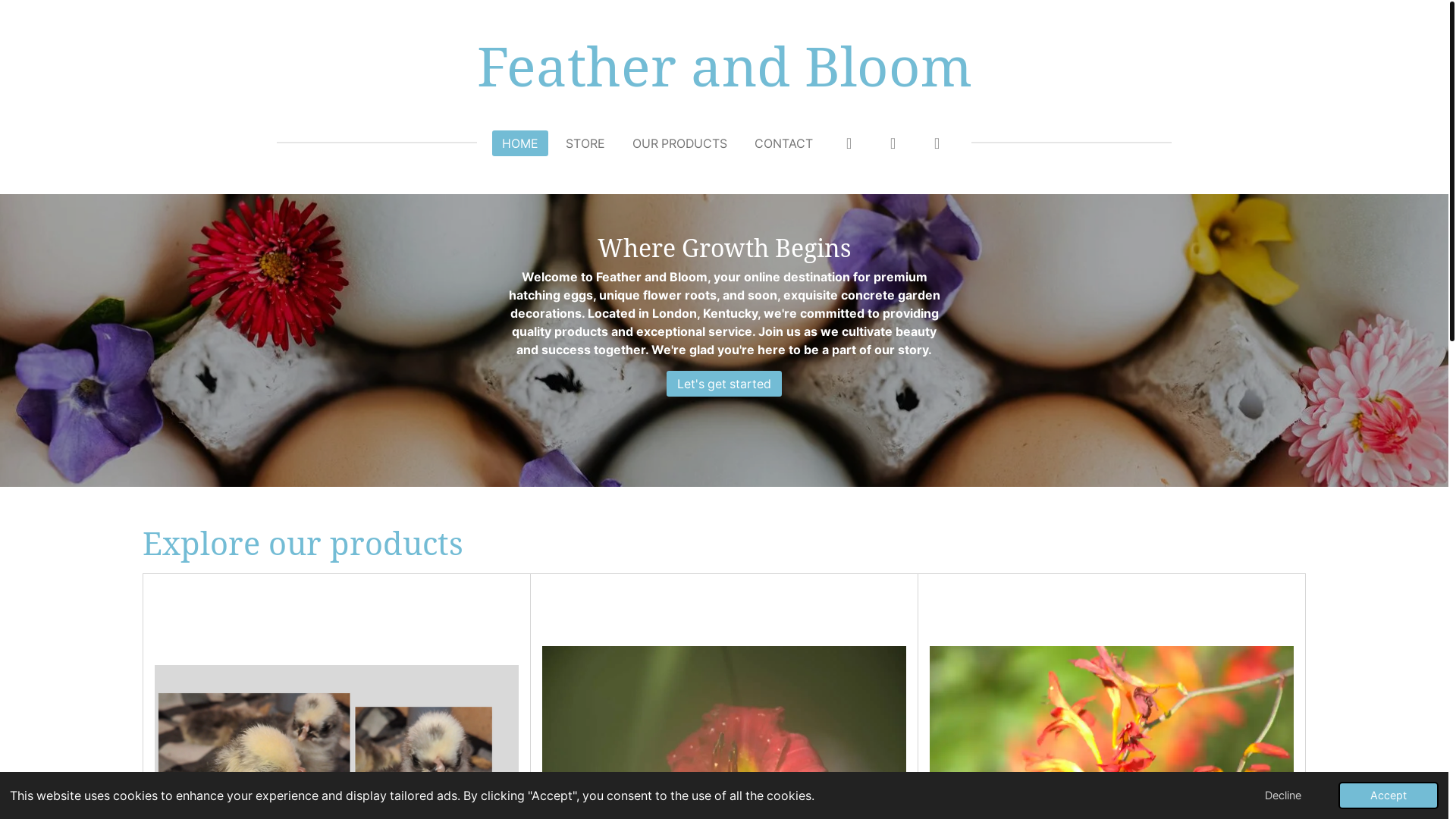 website screenshot of https://feather-and-bloom.com/