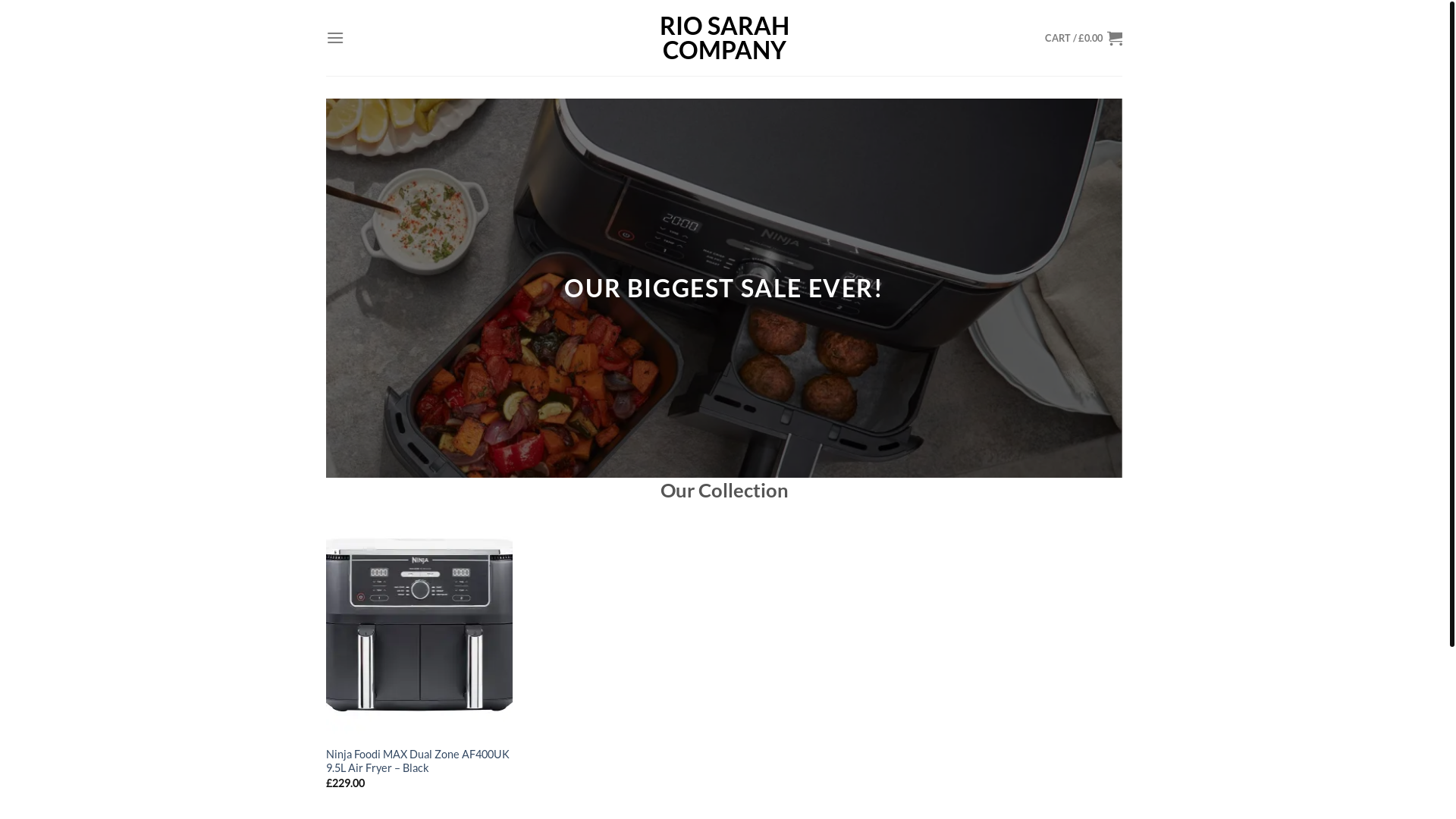 website screenshot of https://riosarahcompany.com/
