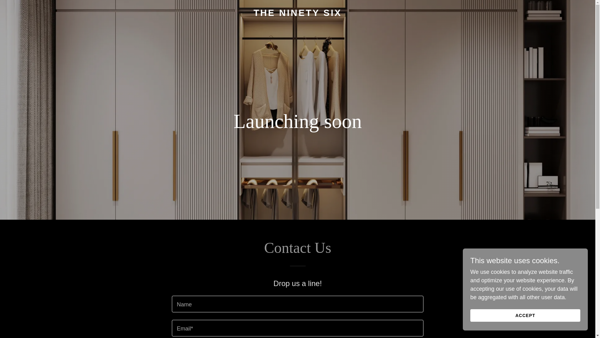 website screenshot of https://theninetysix.store/