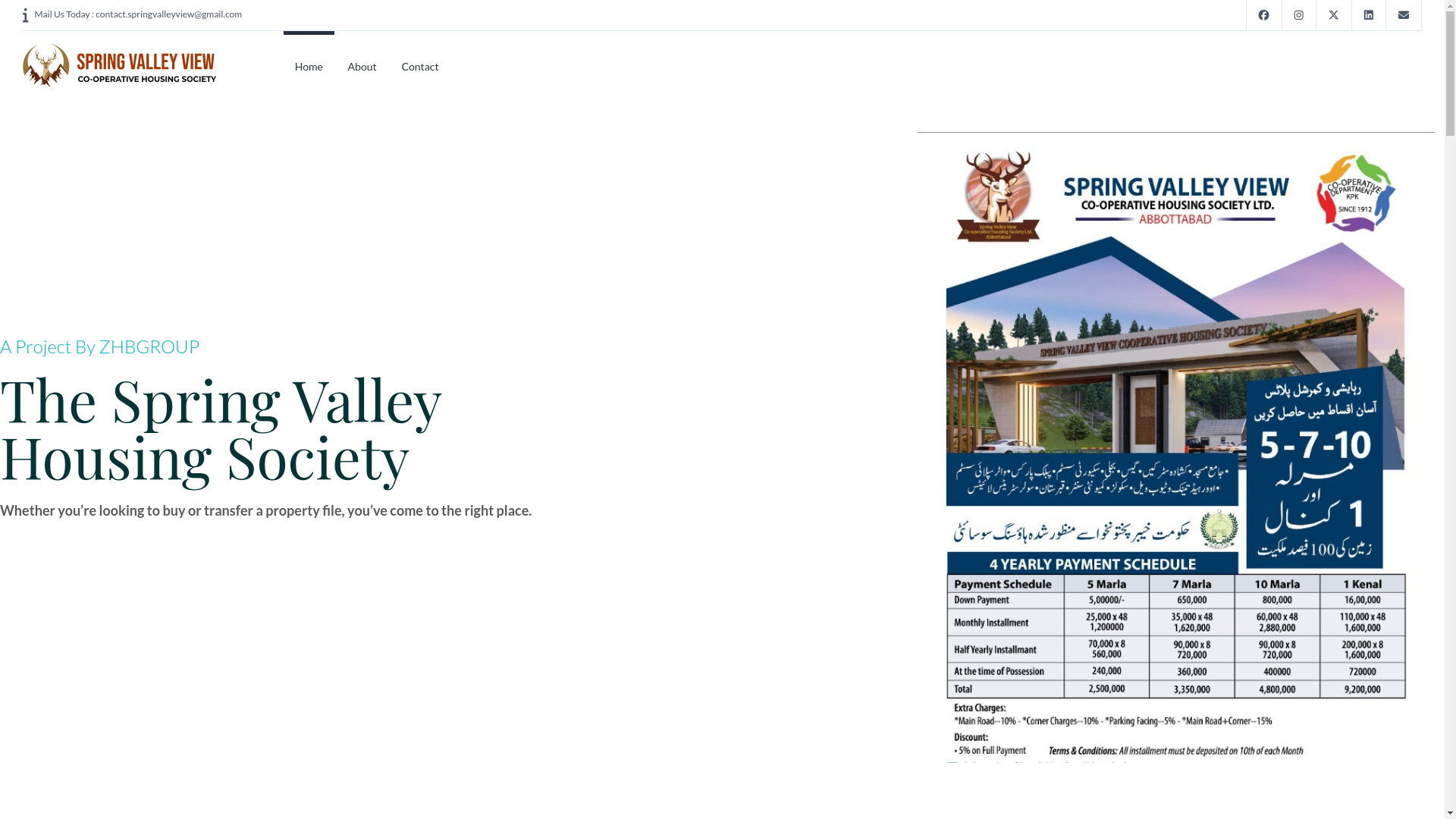 website screenshot of https://thespringvalleyview.com/