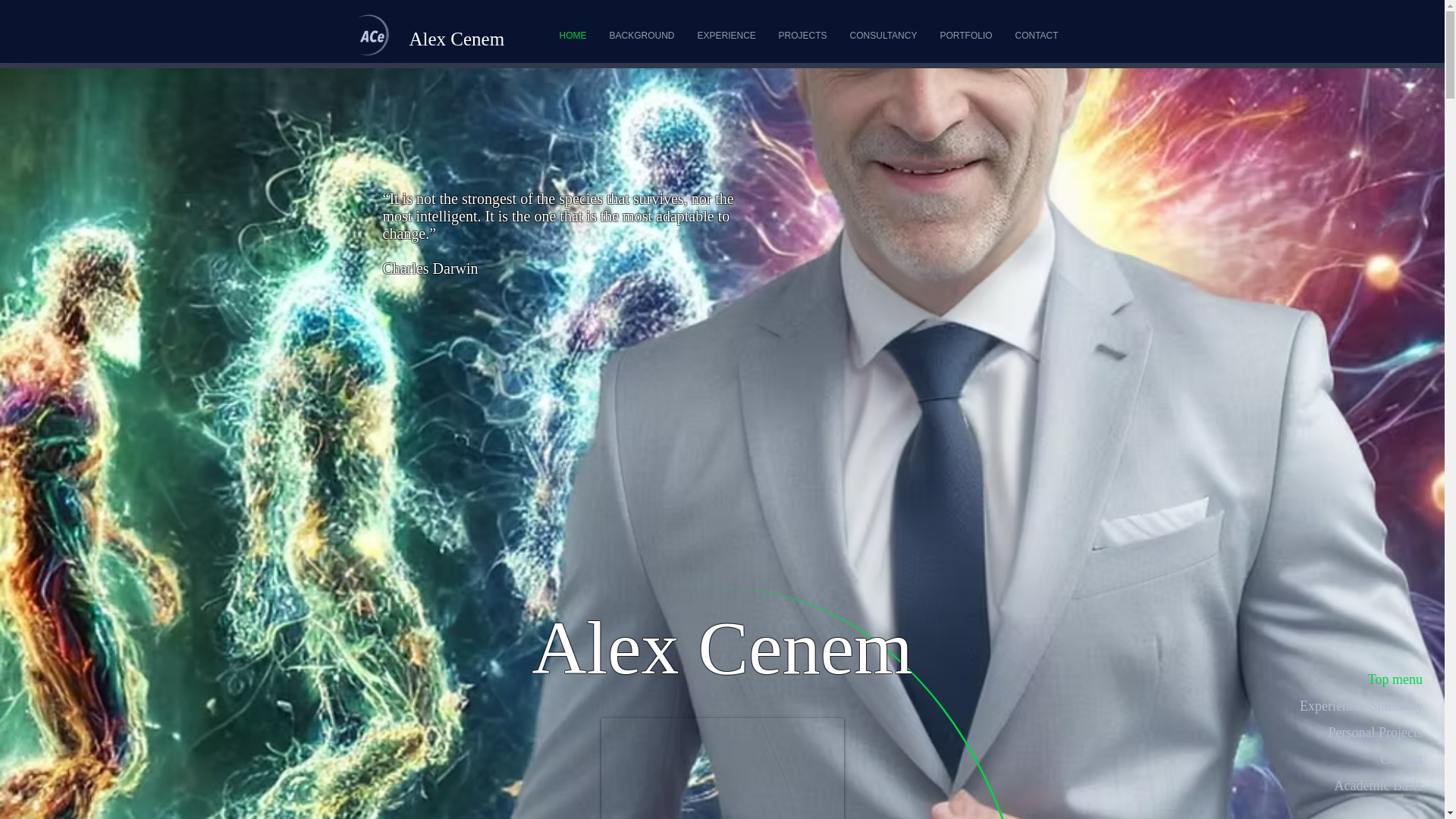 website screenshot of https://dnacegroup.com/