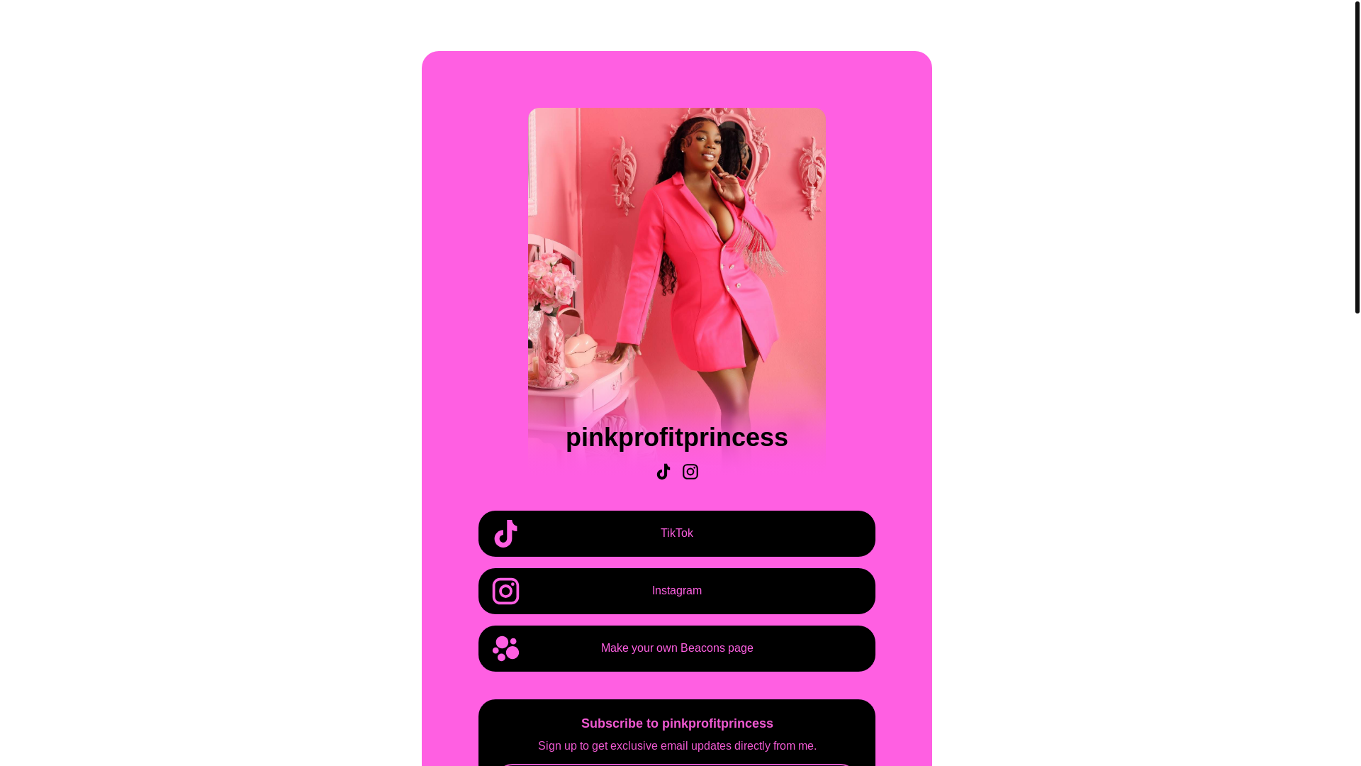 website screenshot of https://pinkprofitprincess.store/