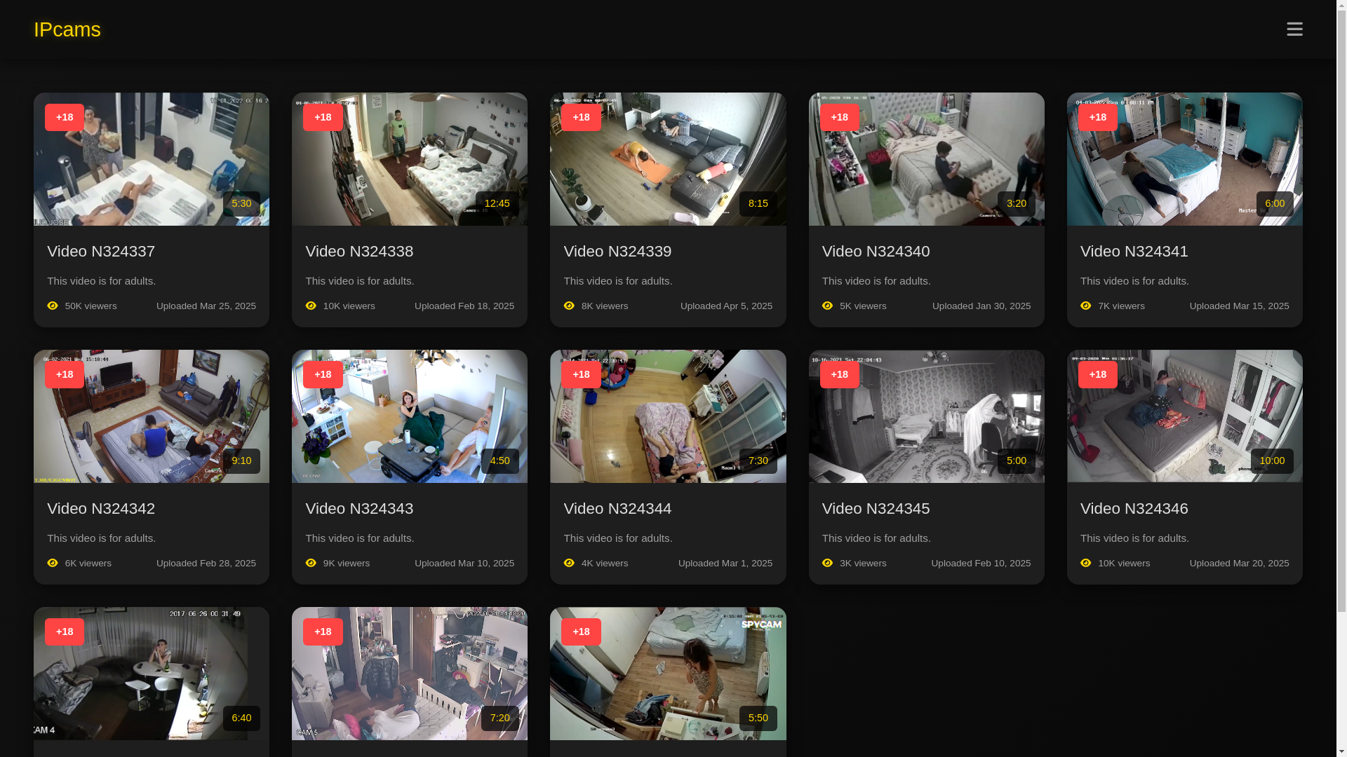 website screenshot of https://ip1cam.pages.dev/