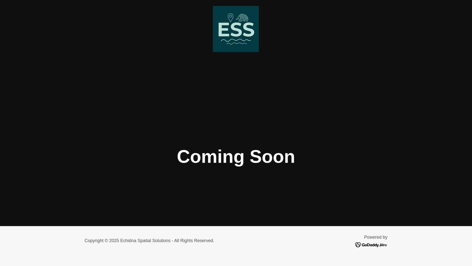 website screenshot of https://echidnaspatialau.com/