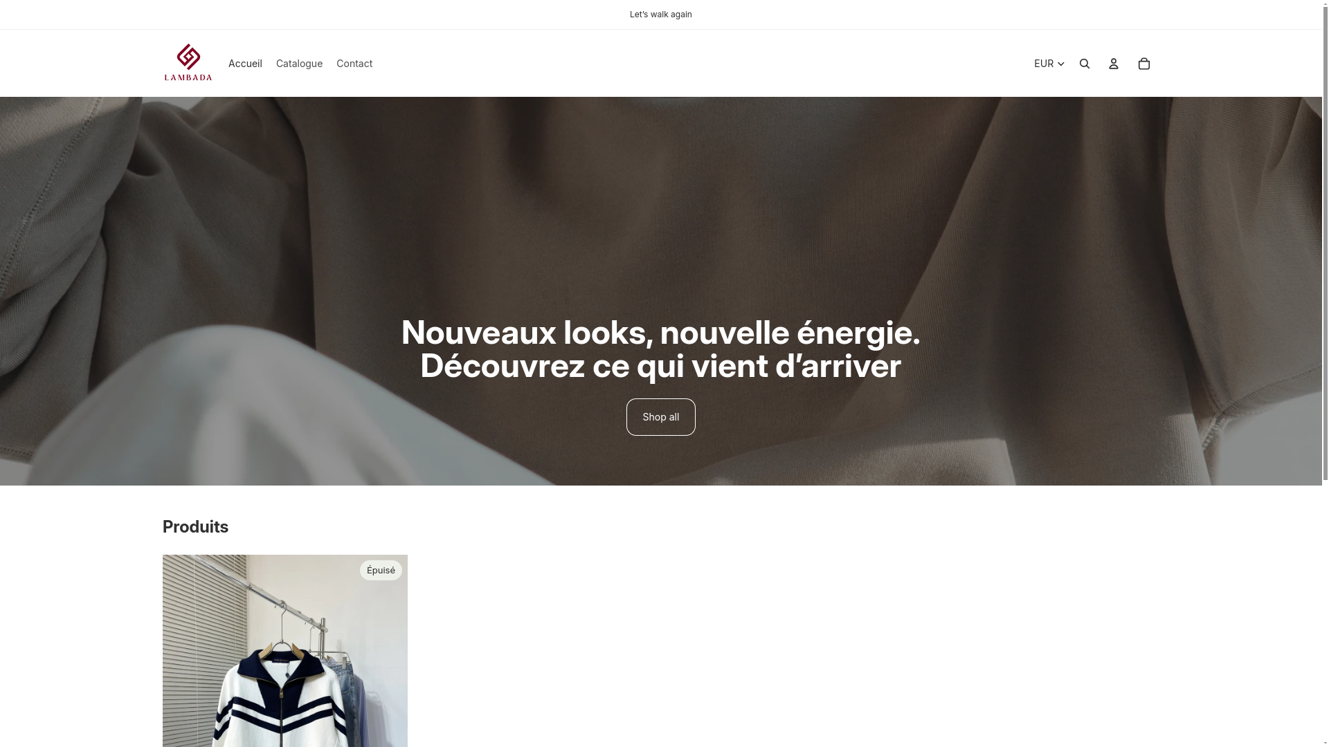 website screenshot of https://lambadadz.com/