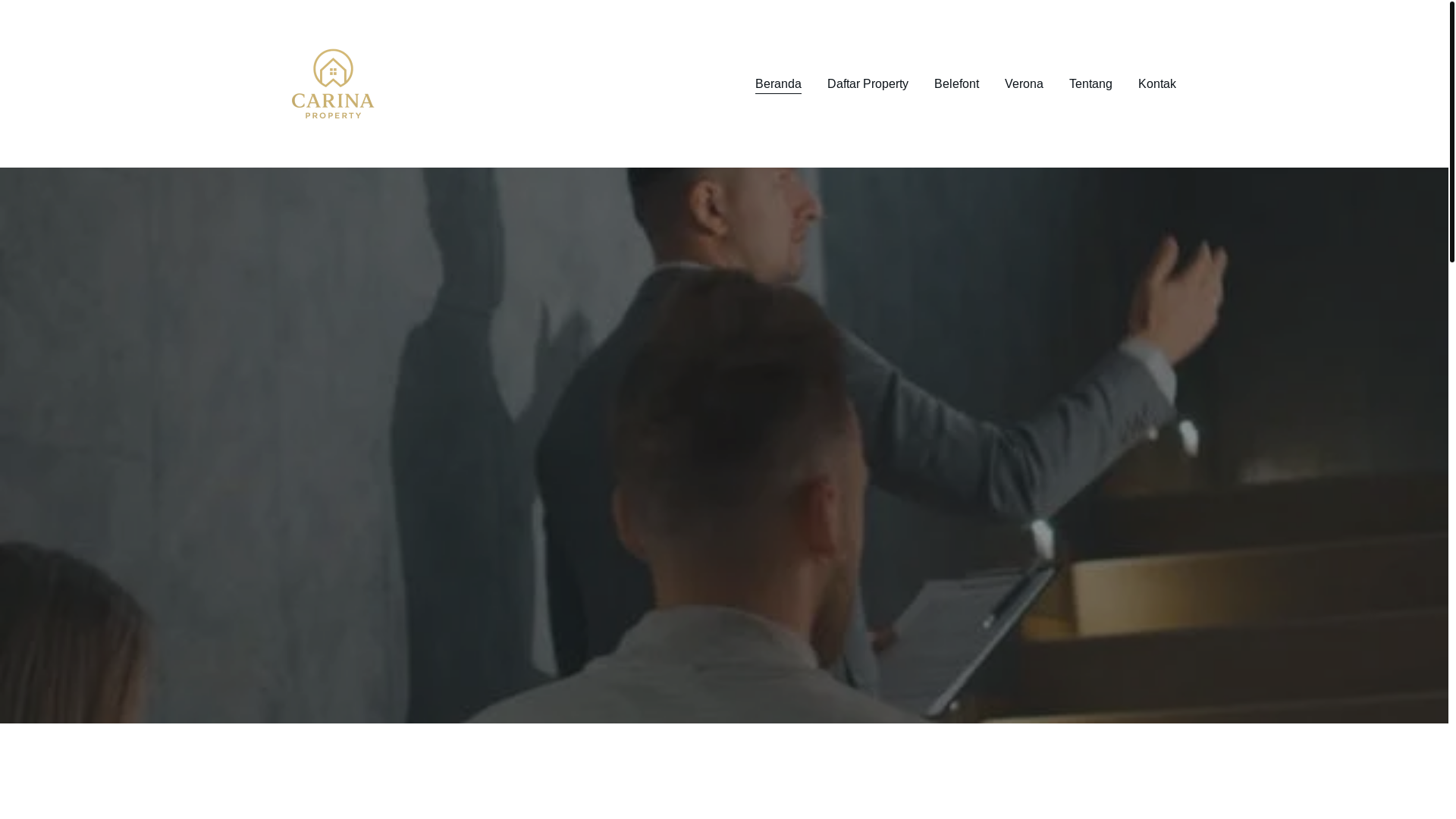 website screenshot of https://carinapro.com/