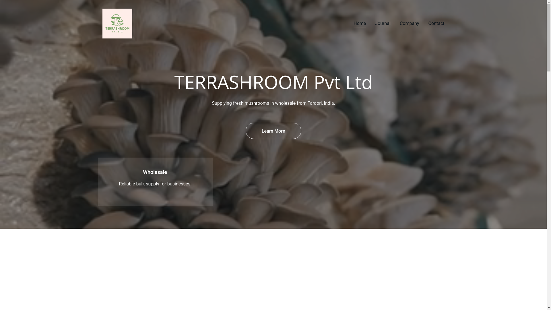 website screenshot of https://terrashroom.in/