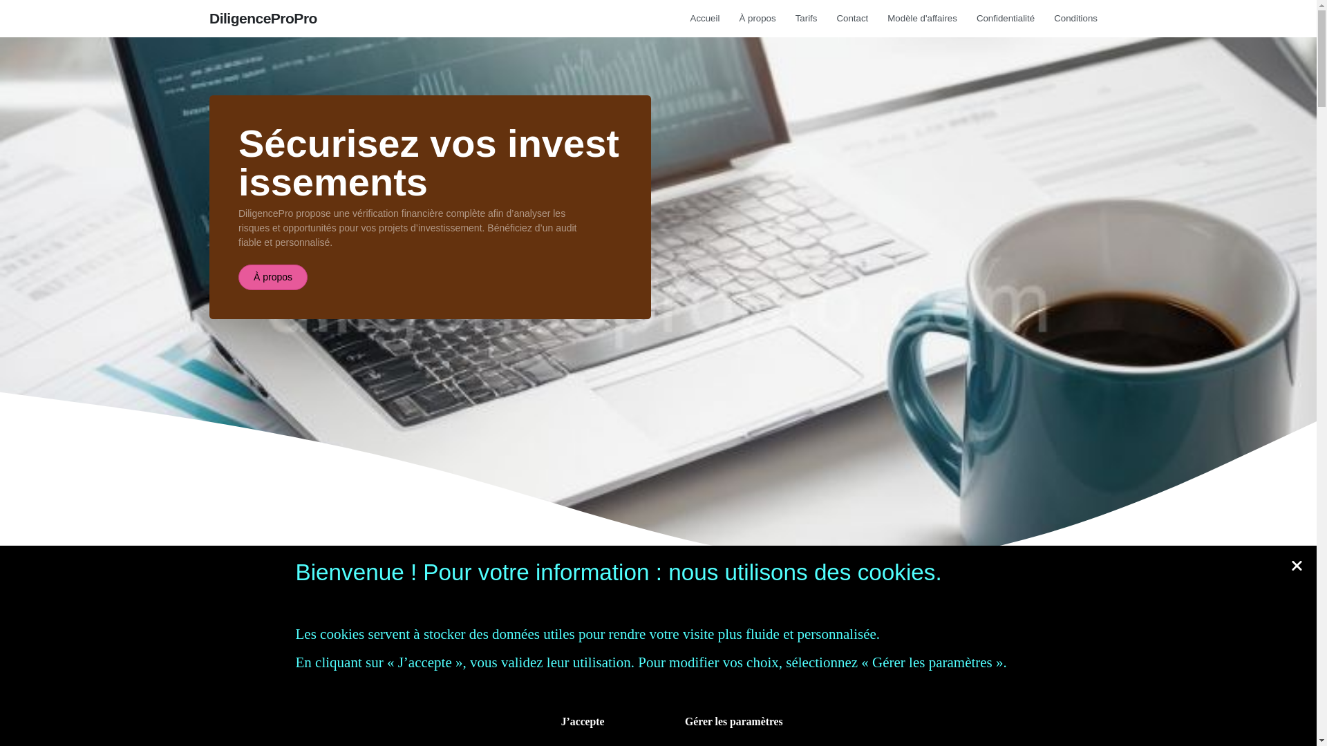 website screenshot of https://diligencepropro.com/