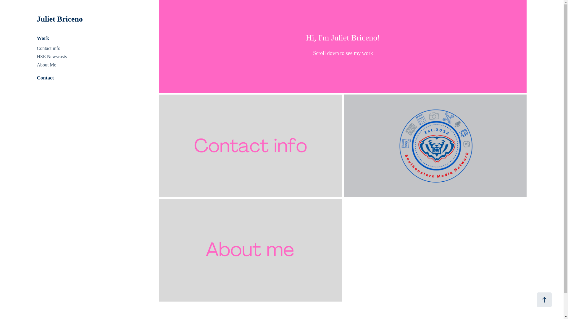 website screenshot of https://julietbriceno.com/