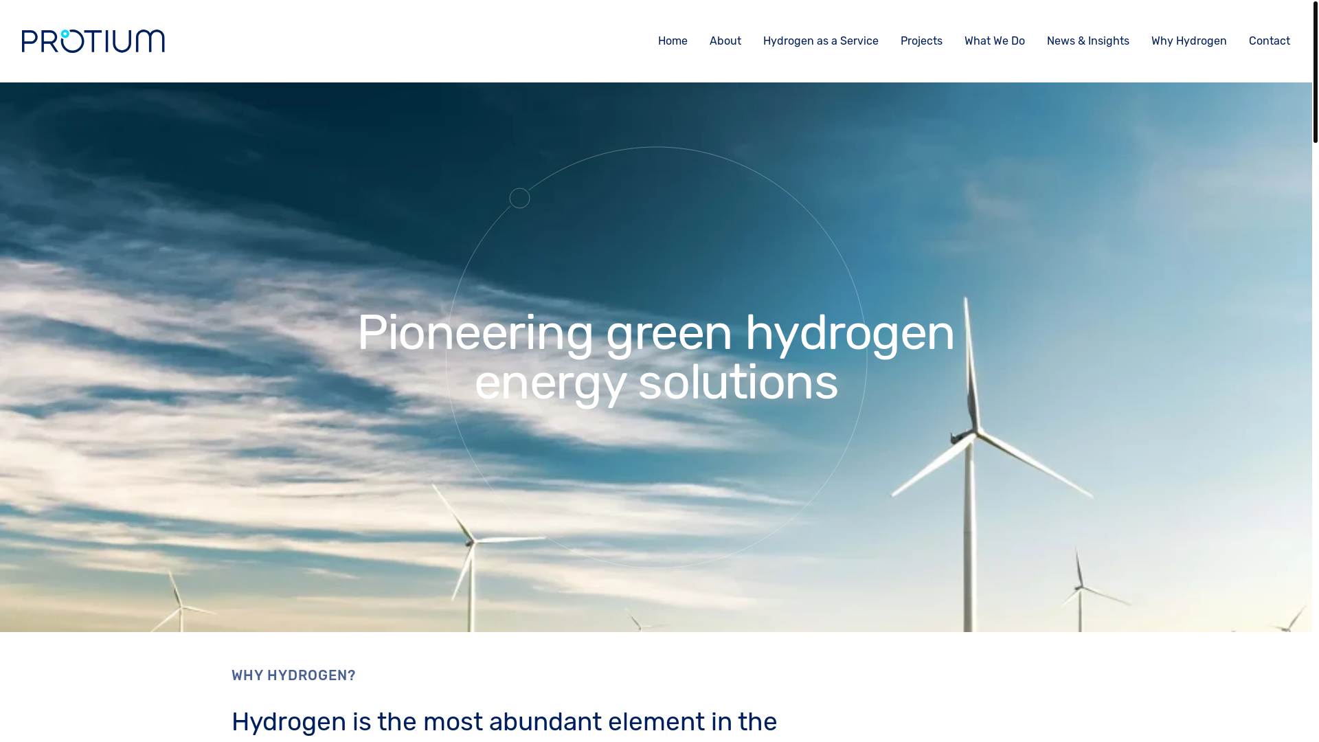 website screenshot of https://protium.green/