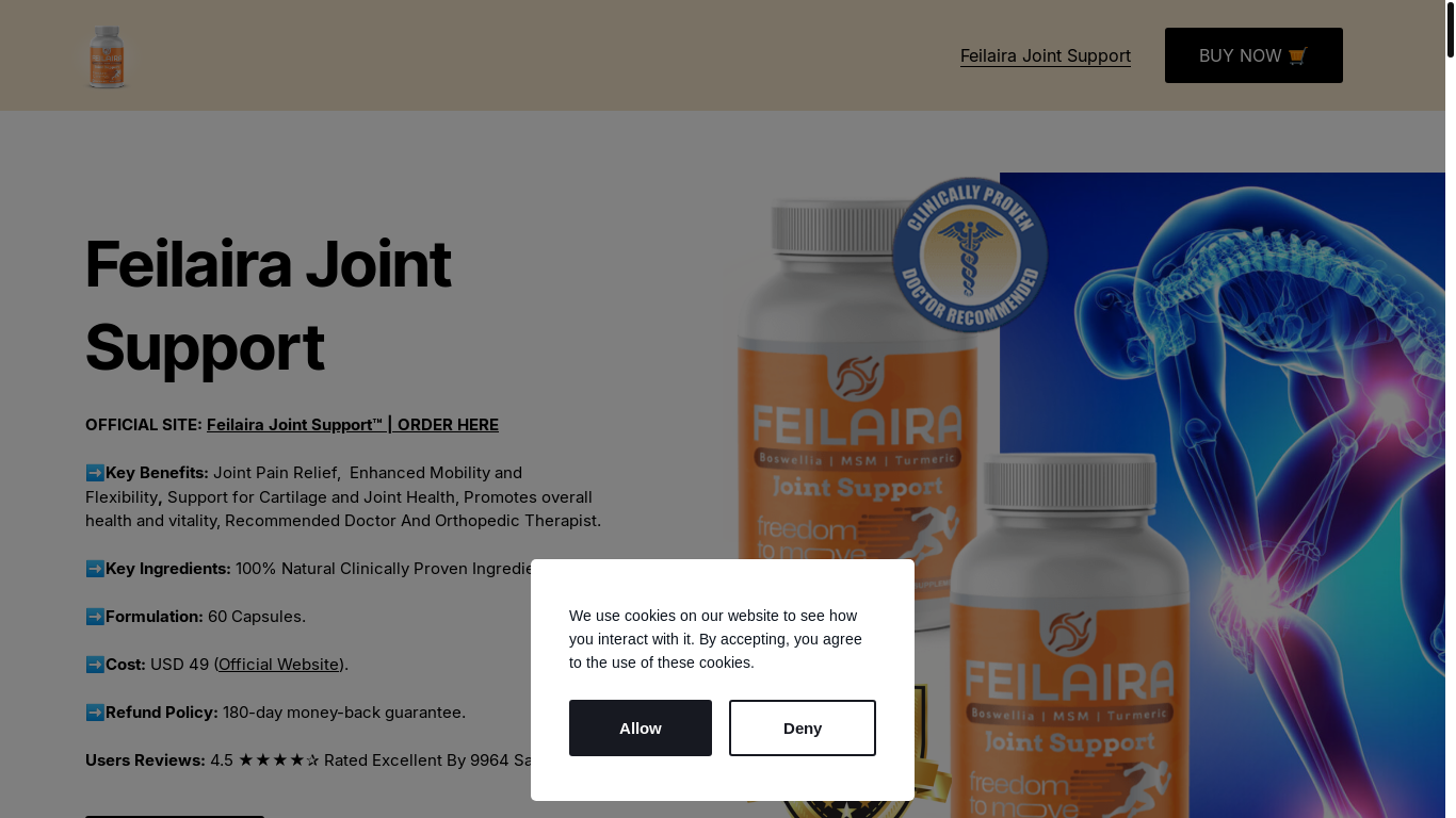 website screenshot of https://feilaira-joint-support.mywebselfsite.net/