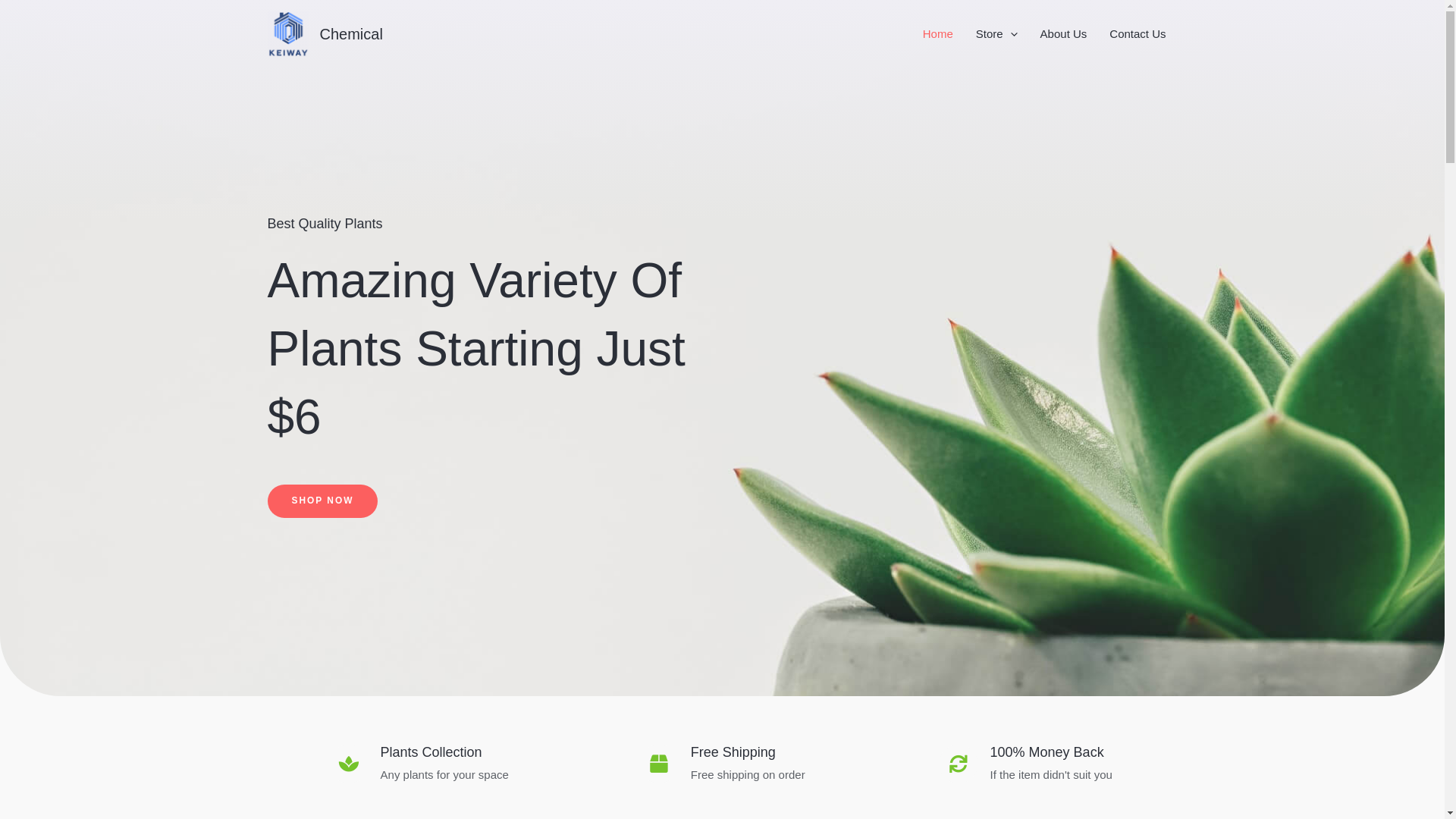 website screenshot of https://keiwaychem.com/