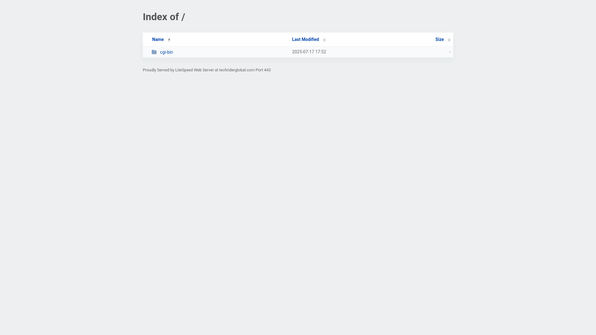 website screenshot of https://techriderglobal.com/