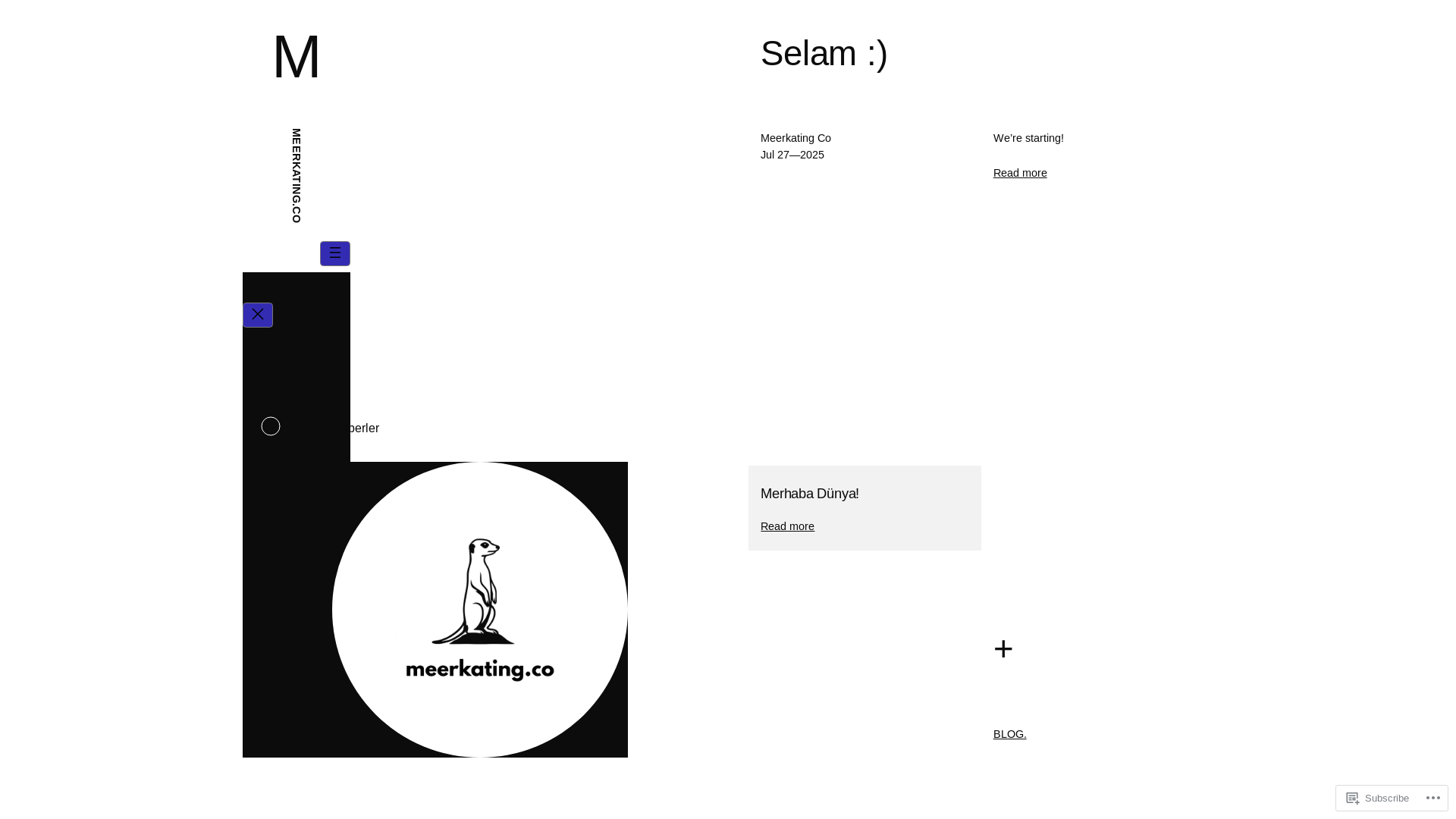 website screenshot of https://meerkating.co/