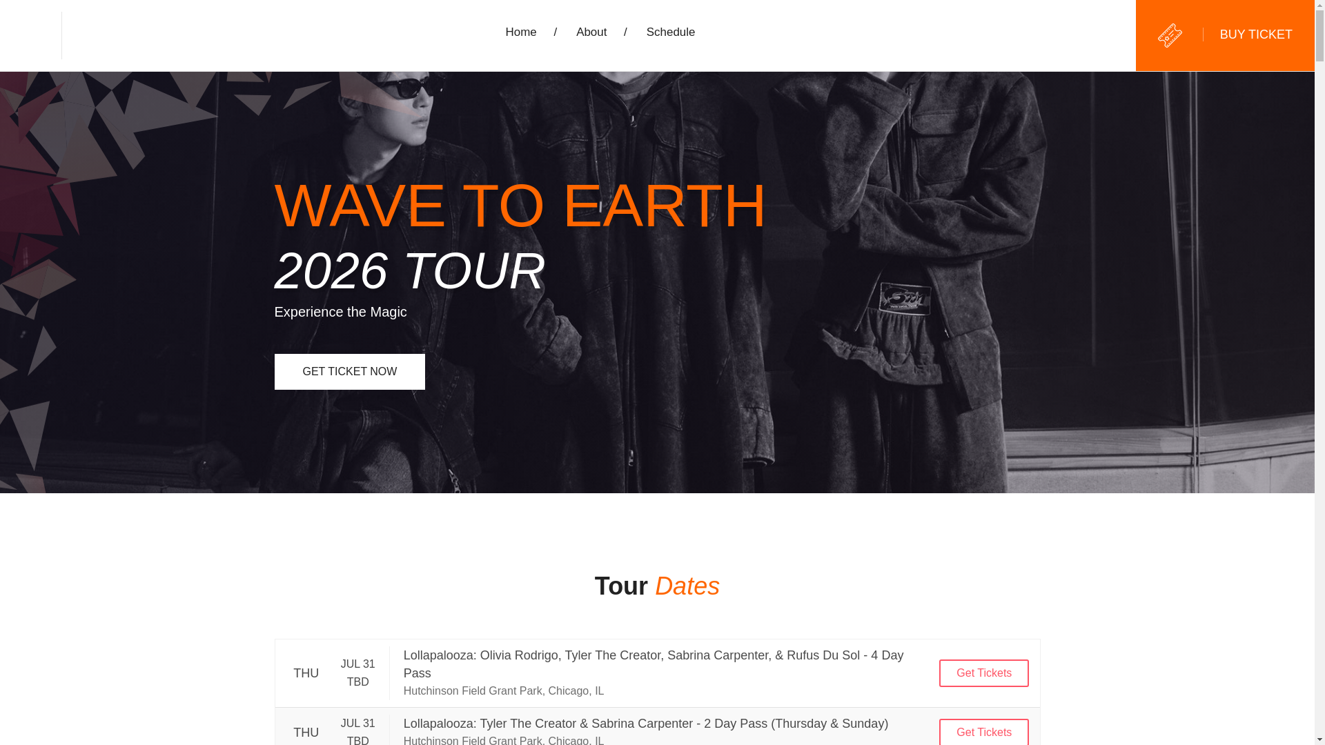 website screenshot of https://wavetoearthtour.us/