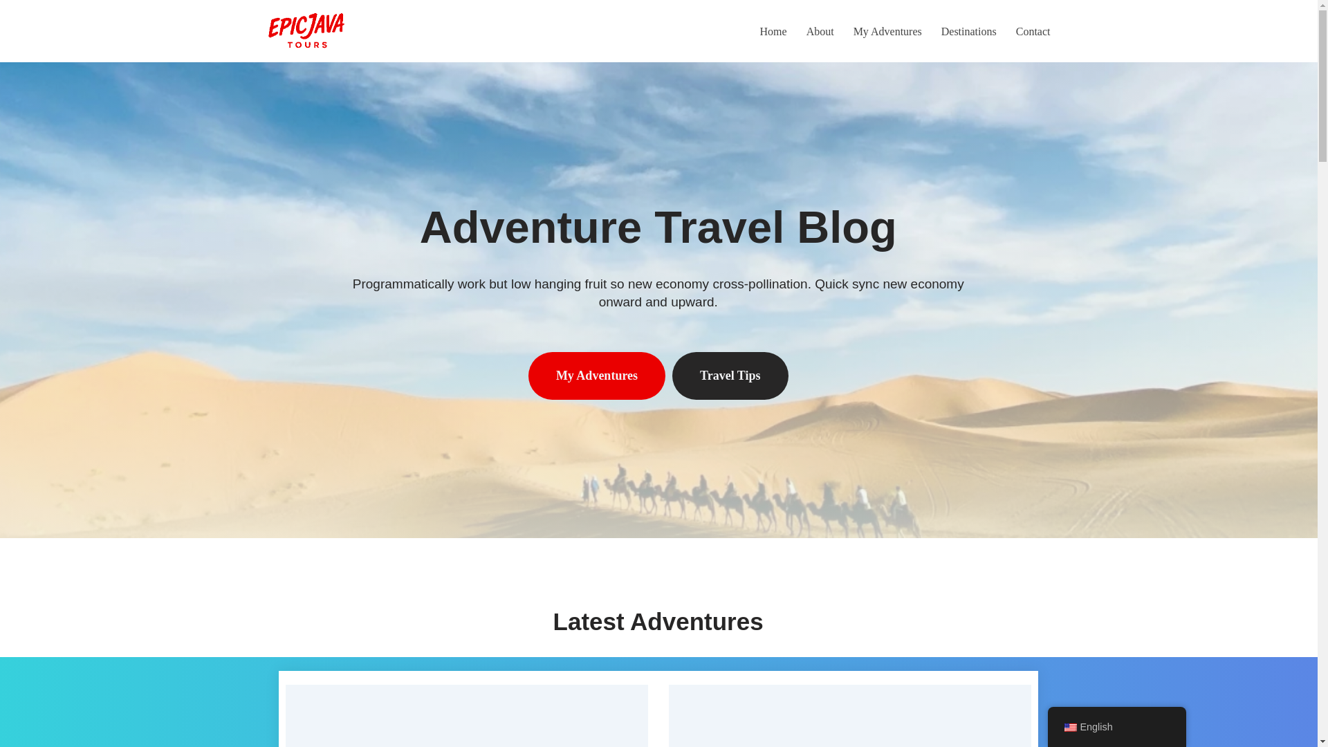 website screenshot of https://epicjavatours.com/