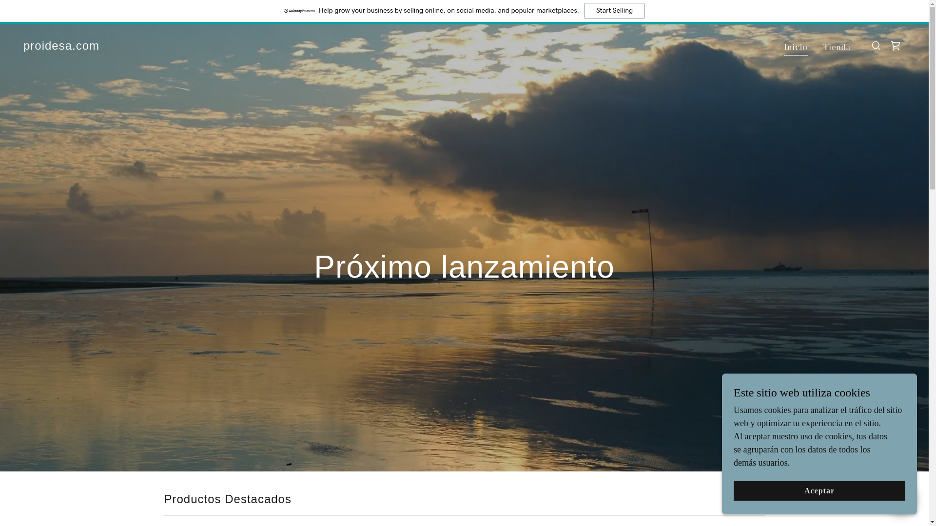 website screenshot of https://proidesa.com/
