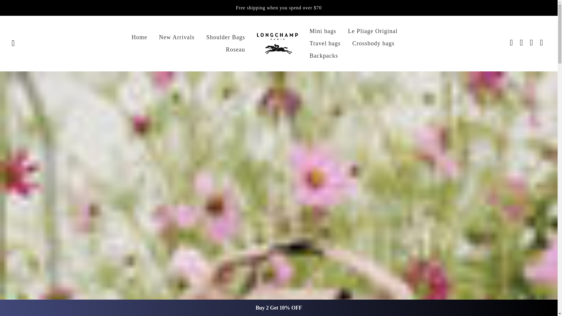 website screenshot of https://lechampbags.com/