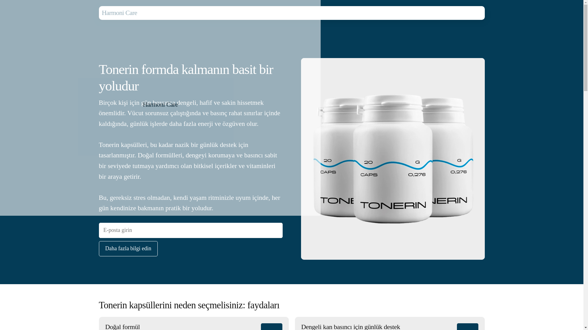 website screenshot of https://harmonicarec.info/