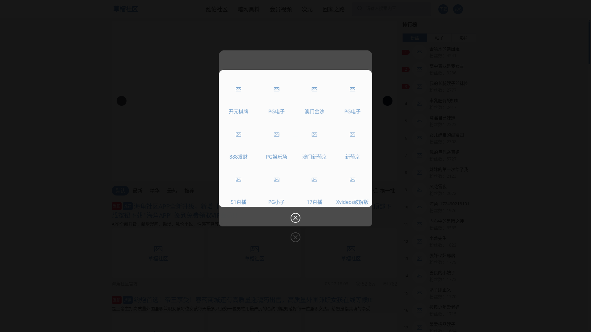 website screenshot of https://heiliaowang16a.cc/