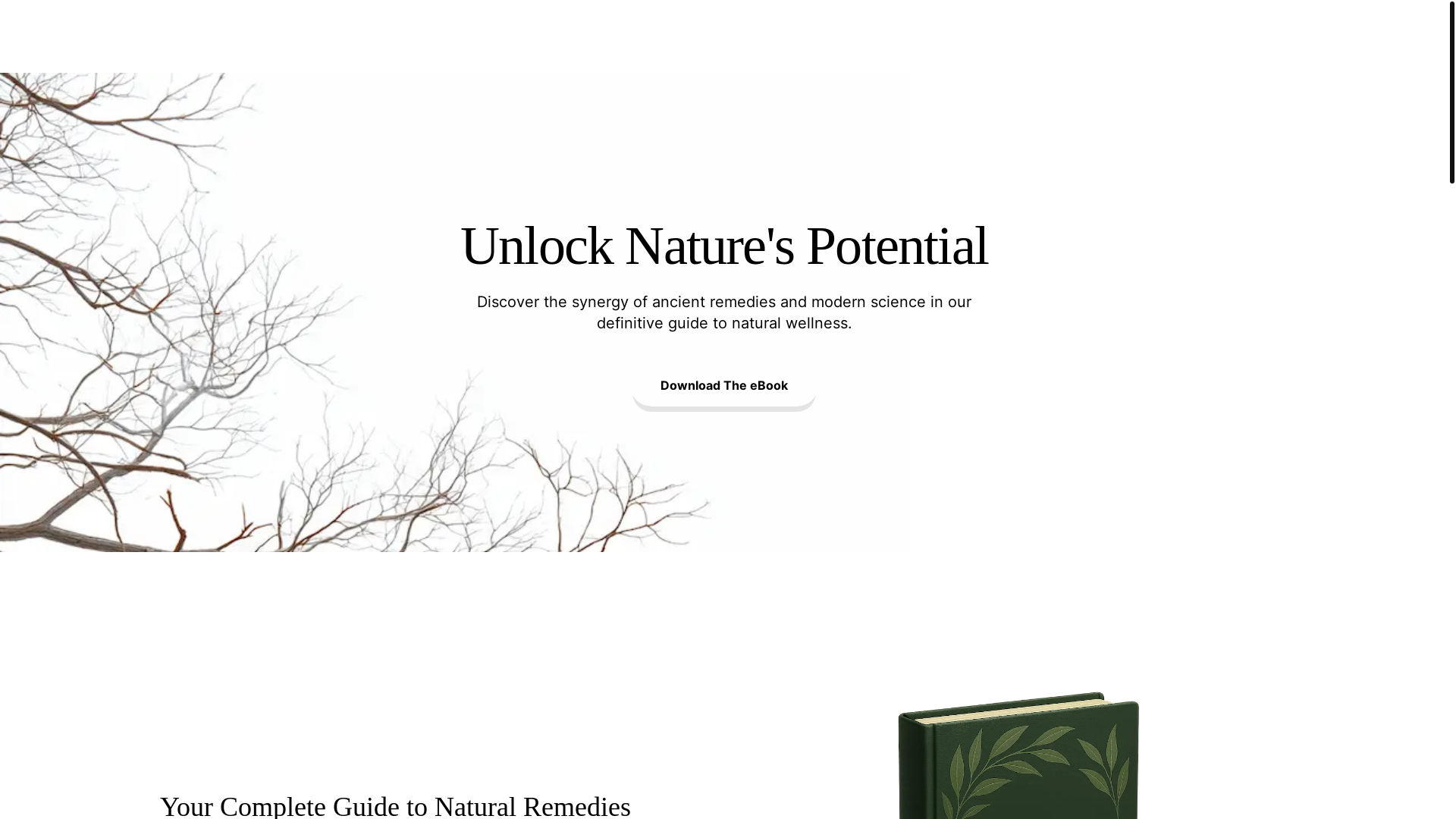 website screenshot of https://naturaljournal.art/
