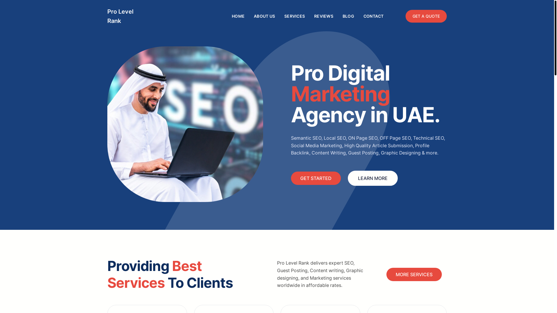 website screenshot of https://prolevelrank.com/
