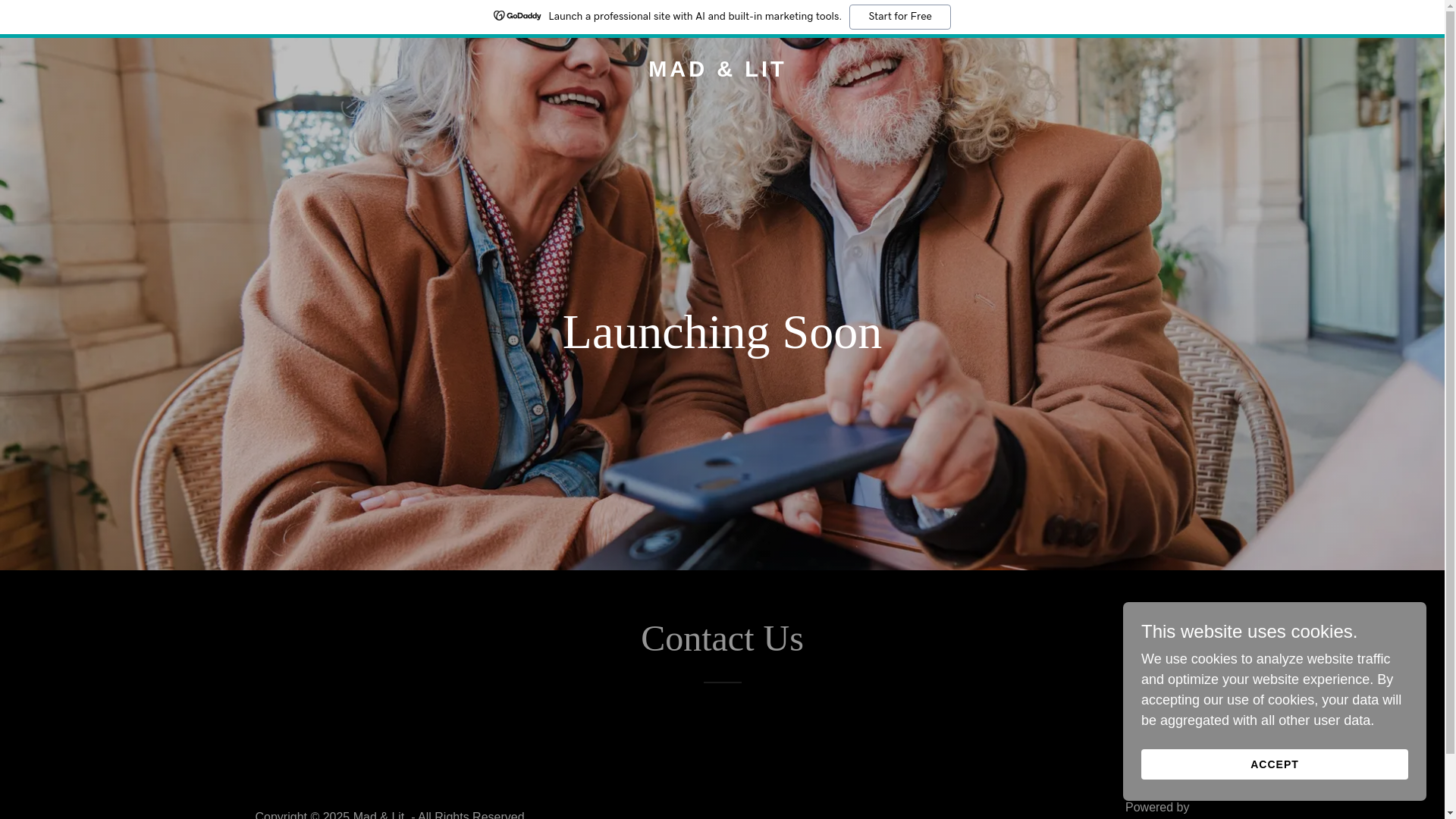 website screenshot of https://madandlitstore.com/